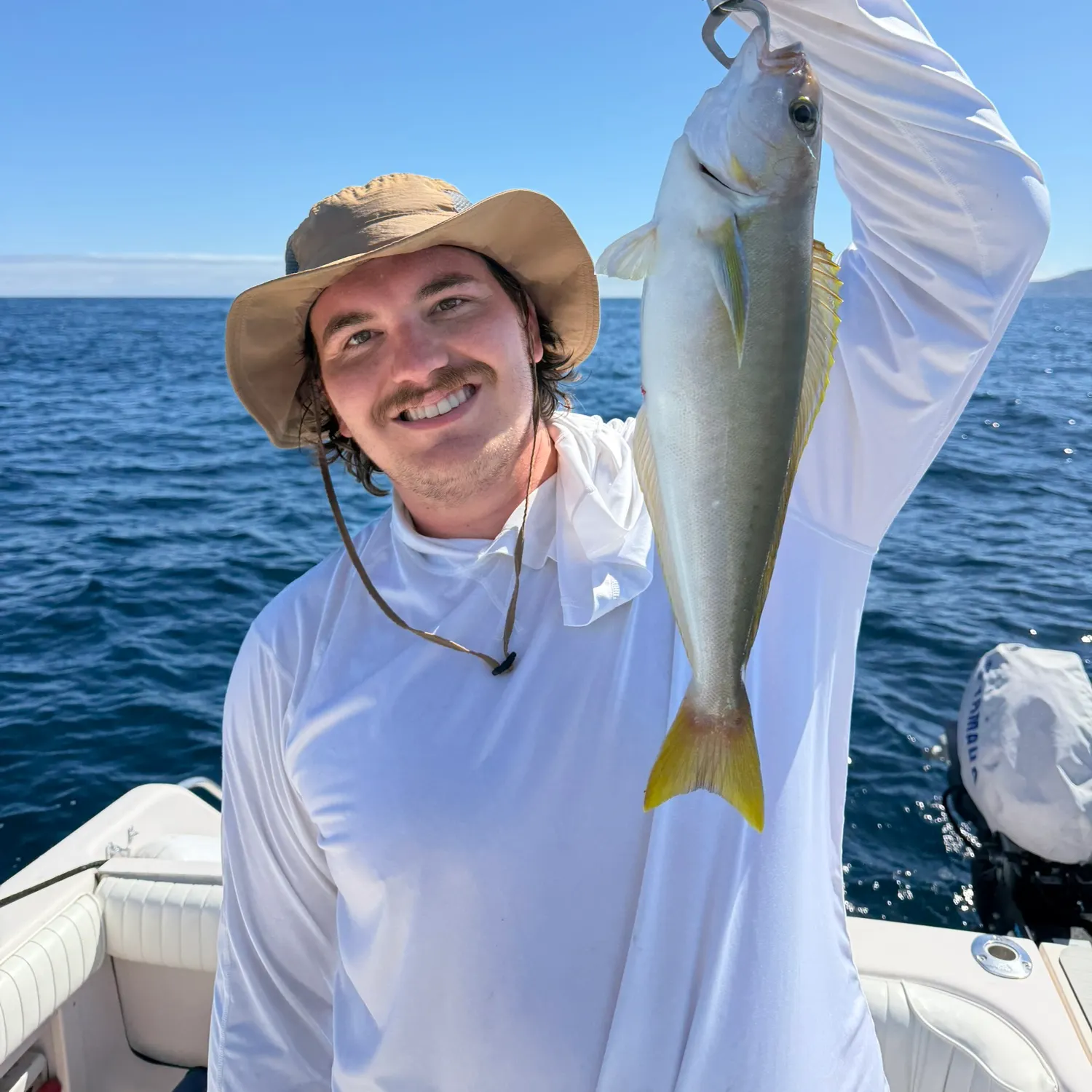 The most recent Ocean whitefish catches on Fishbrain