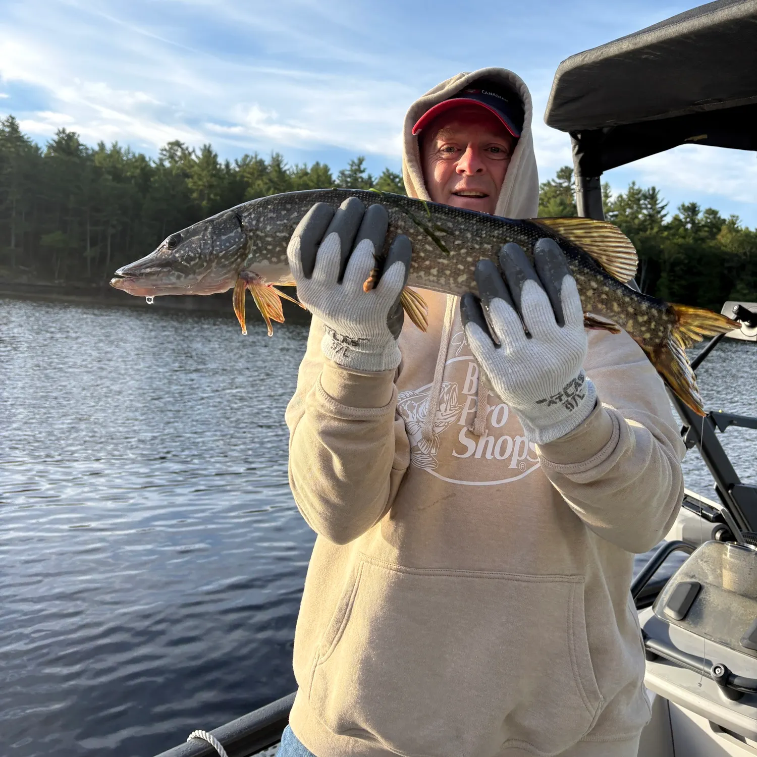 Northern pike caught on Fishbrain