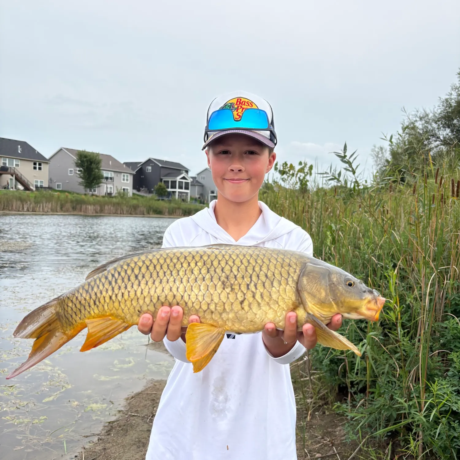 Common carp caught on Fishbrain