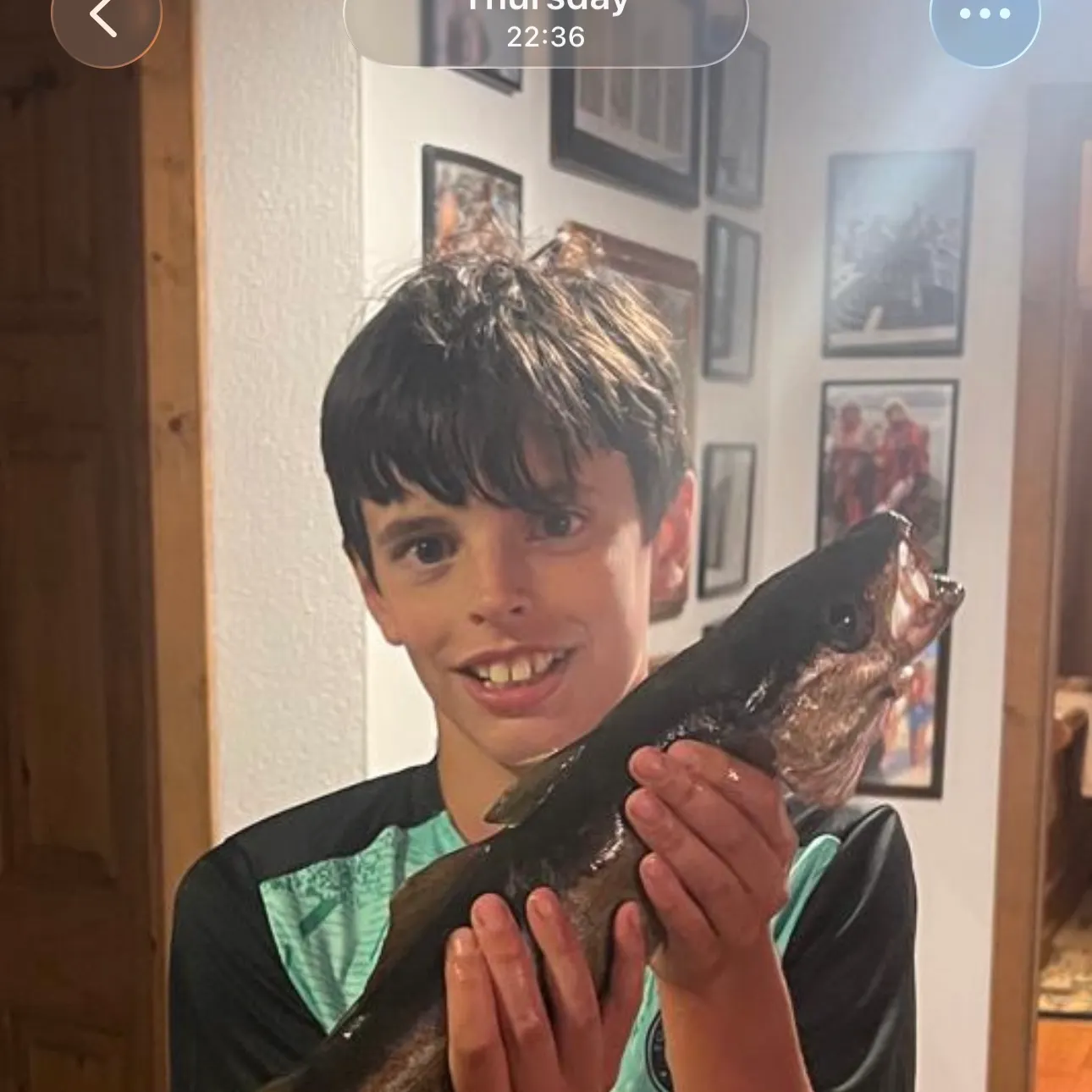 The most recent Atlantic pollock catches on Fishbrain