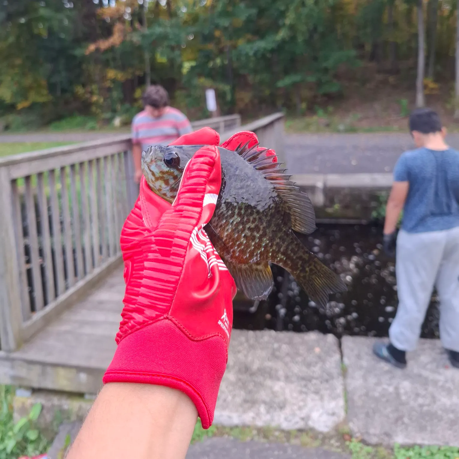 catch