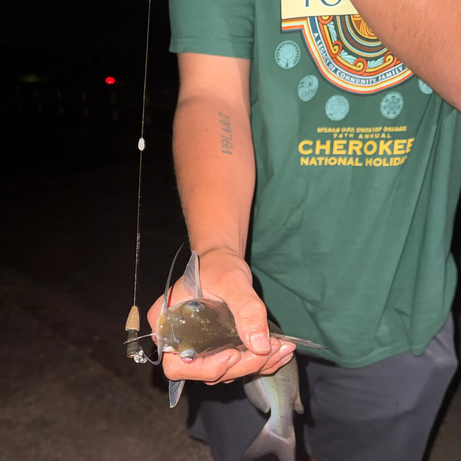 Channel catfish caught on Fishbrain