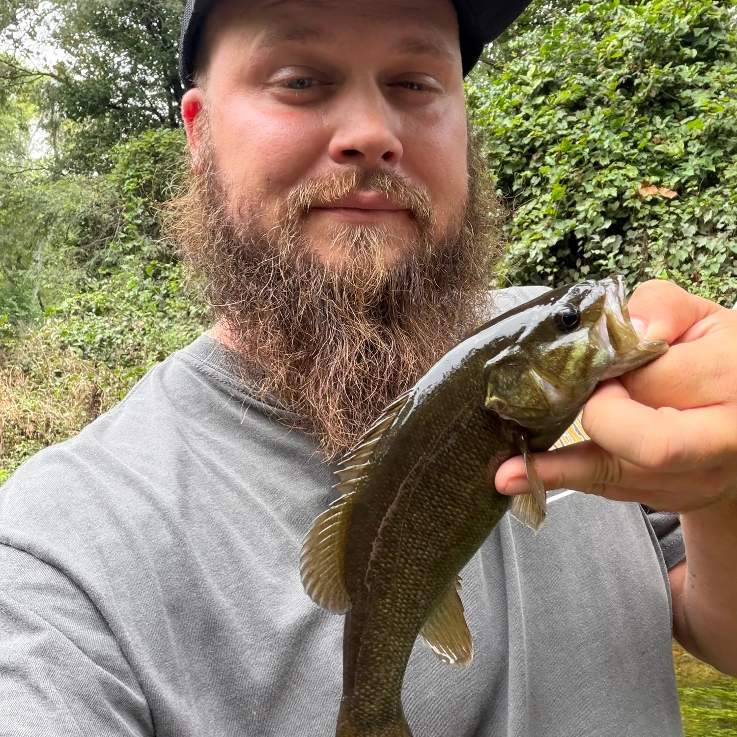 Smallmouth bass caught on Fishbrain