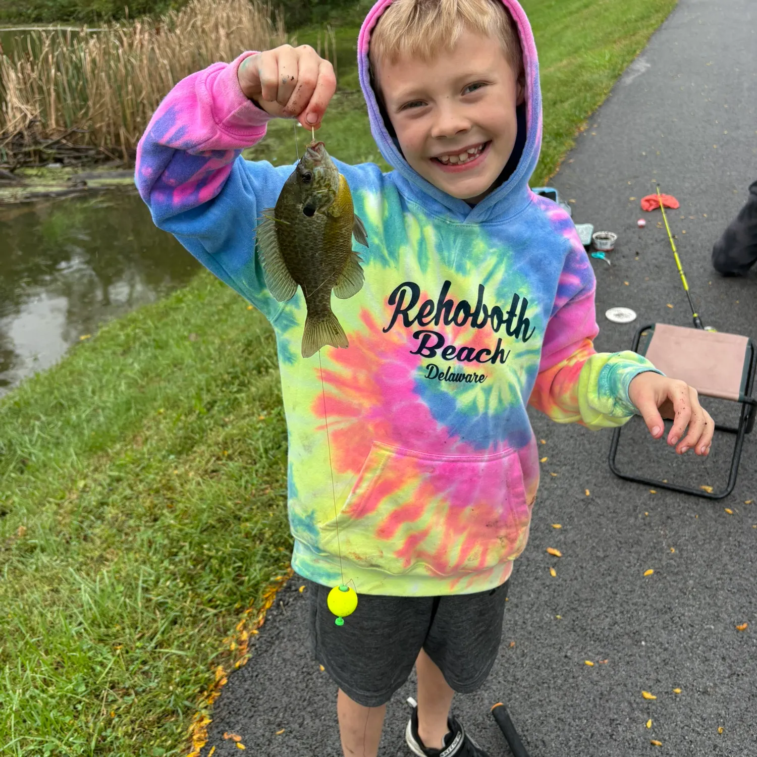 Bluegill caught on Fishbrain