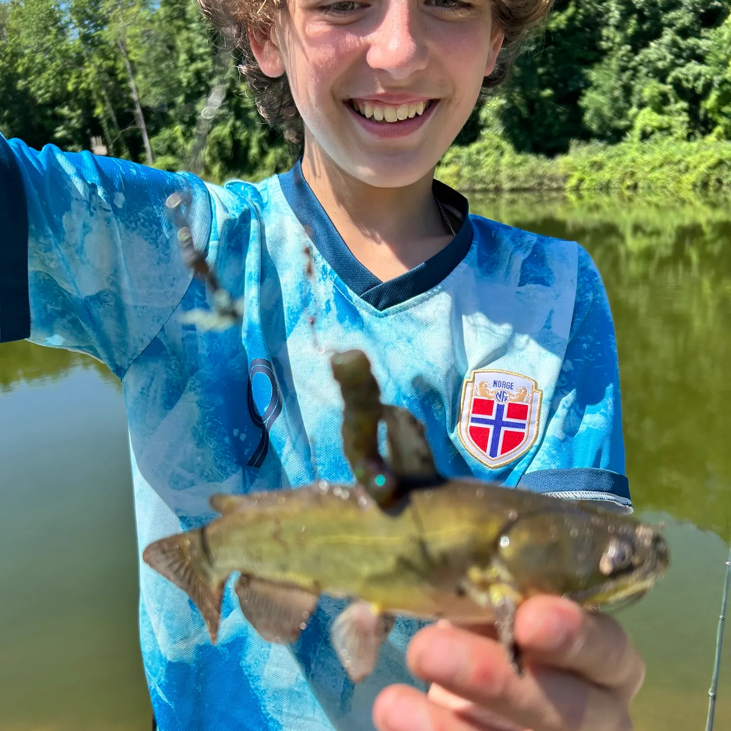 Silvertip shark caught on Fishbrain