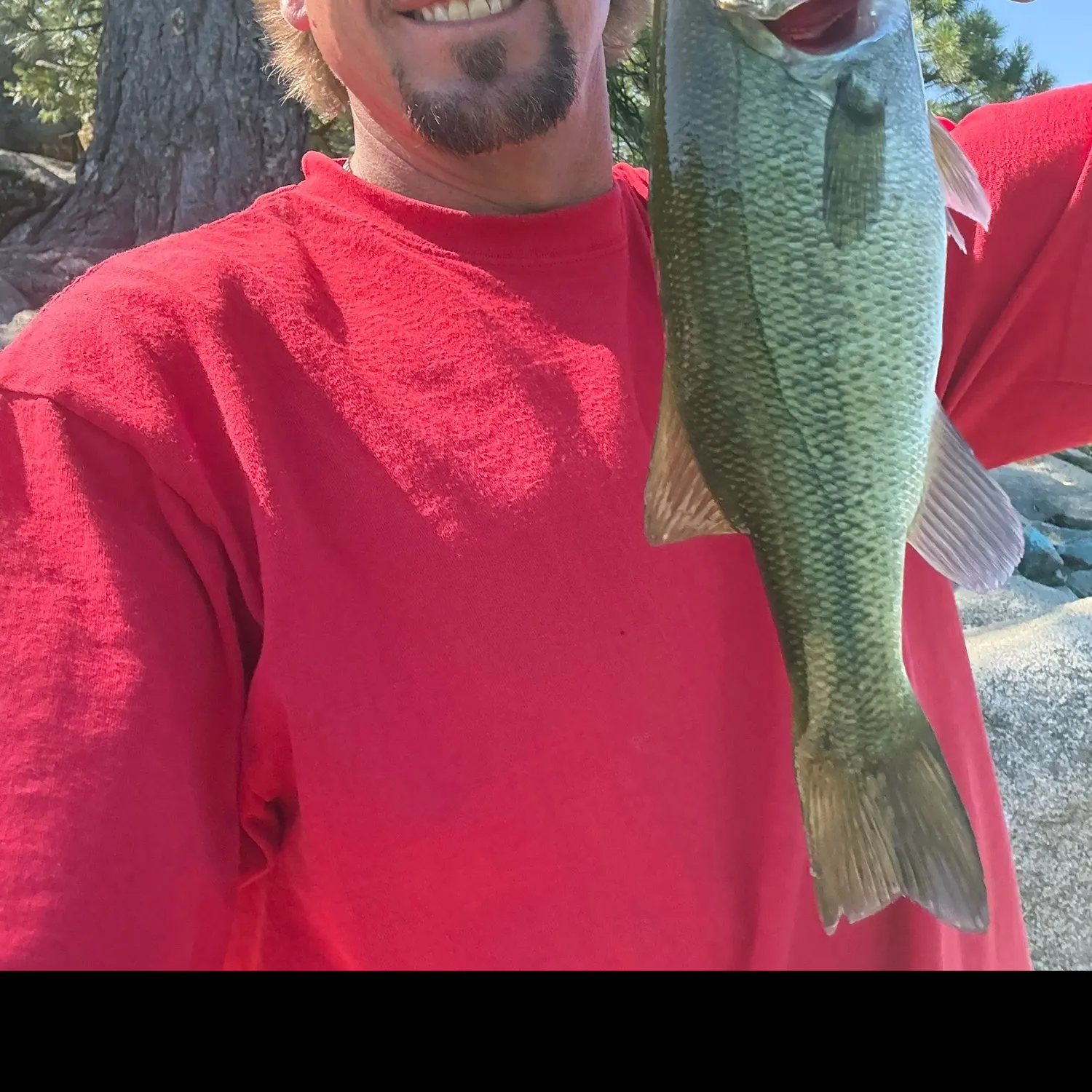 Fish caught on Fishbrain