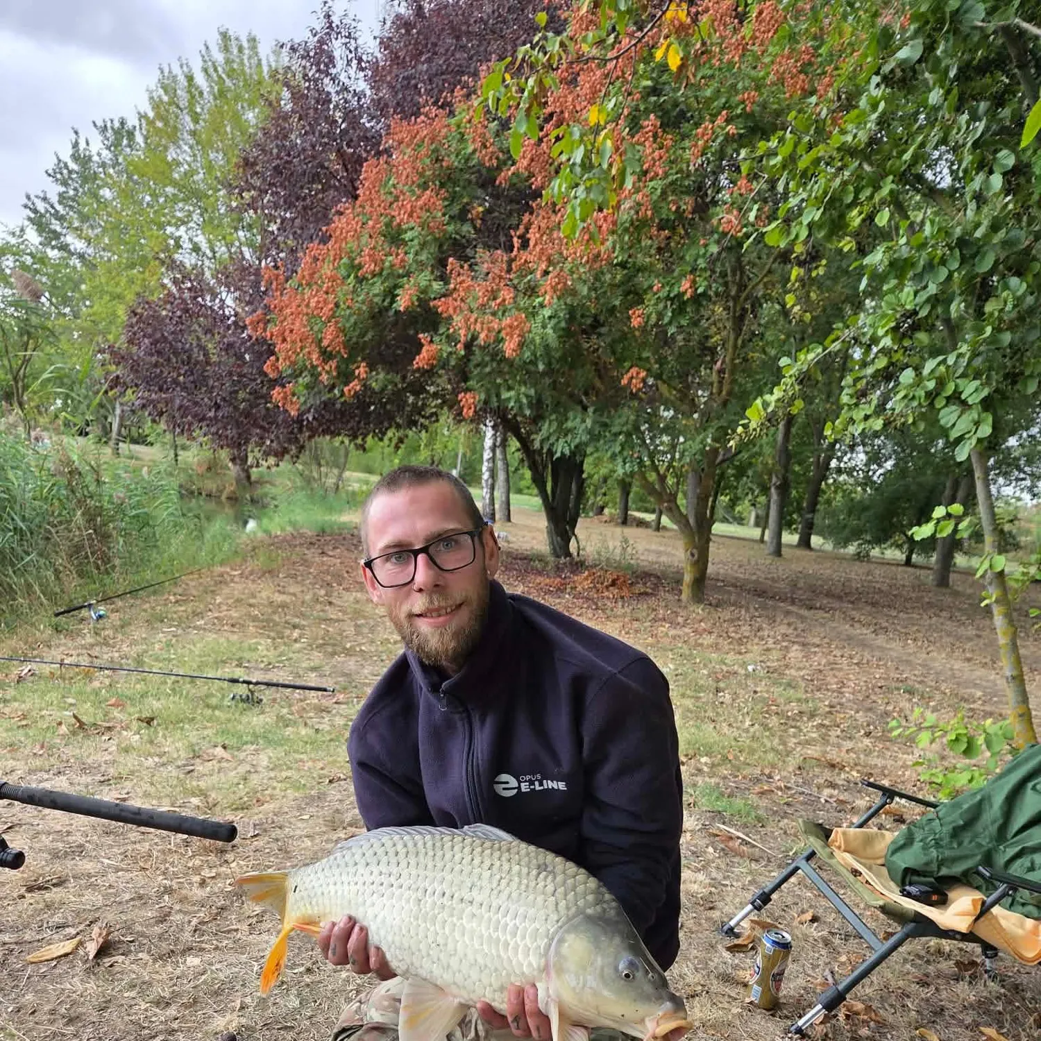 Common carp caught on Fishbrain