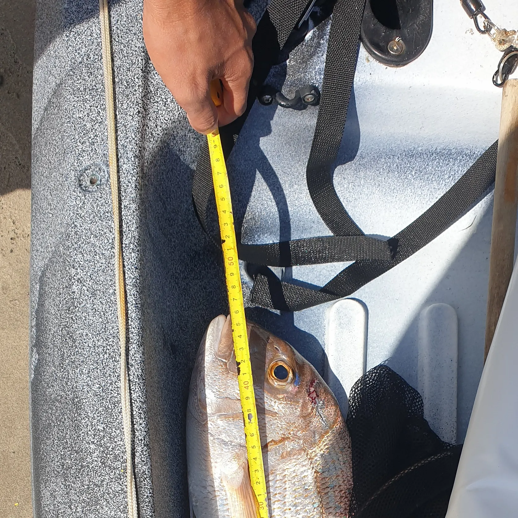 angler catch