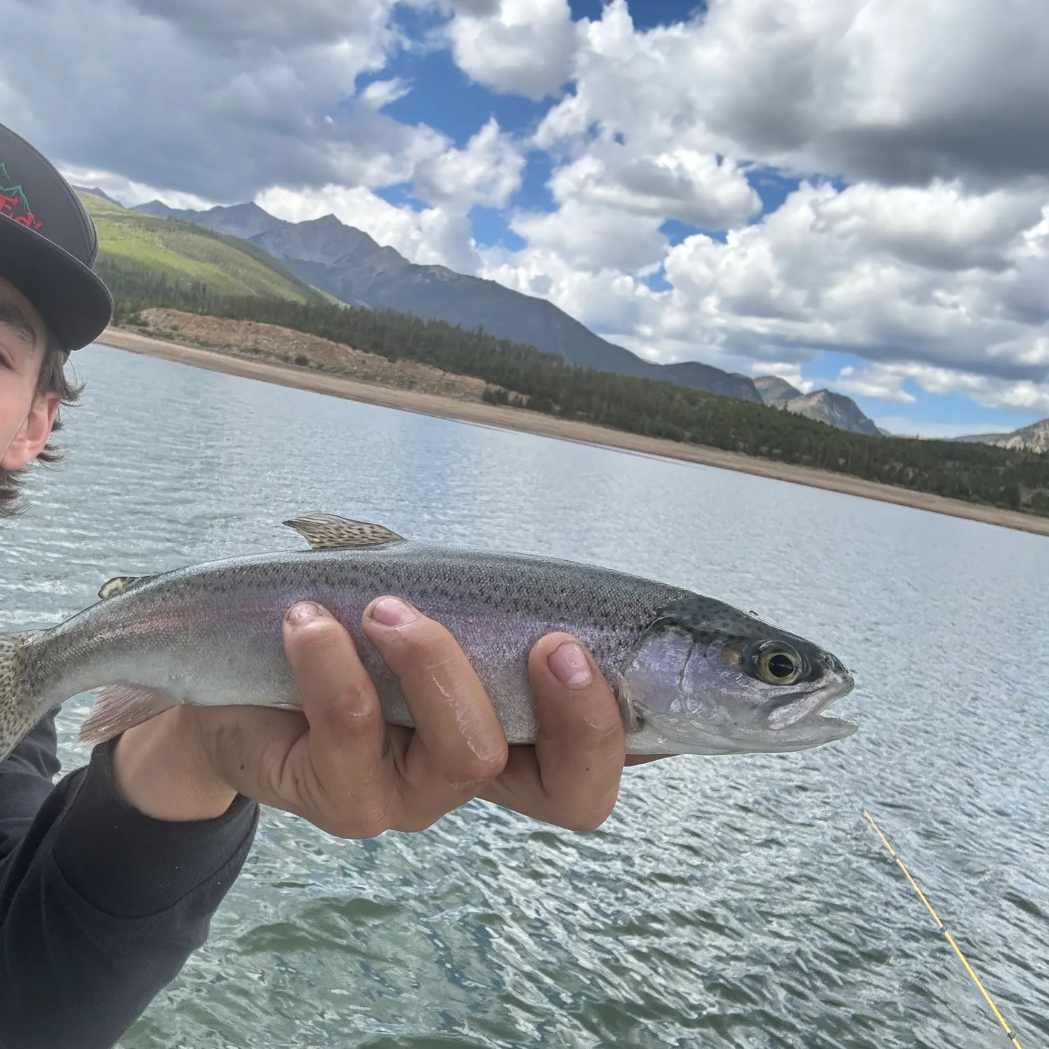 Rainbow trout caught on Fishbrain