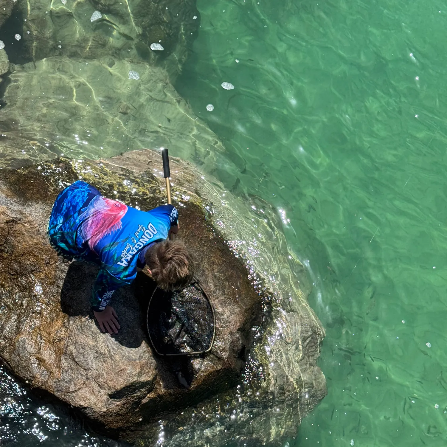 The most recent Oceanic puffer catches on Fishbrain