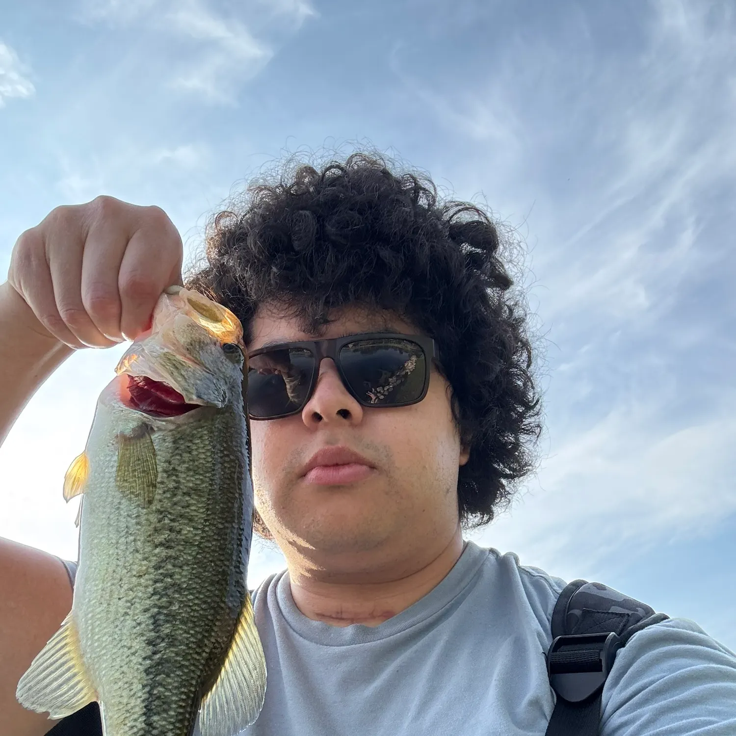 angler catch