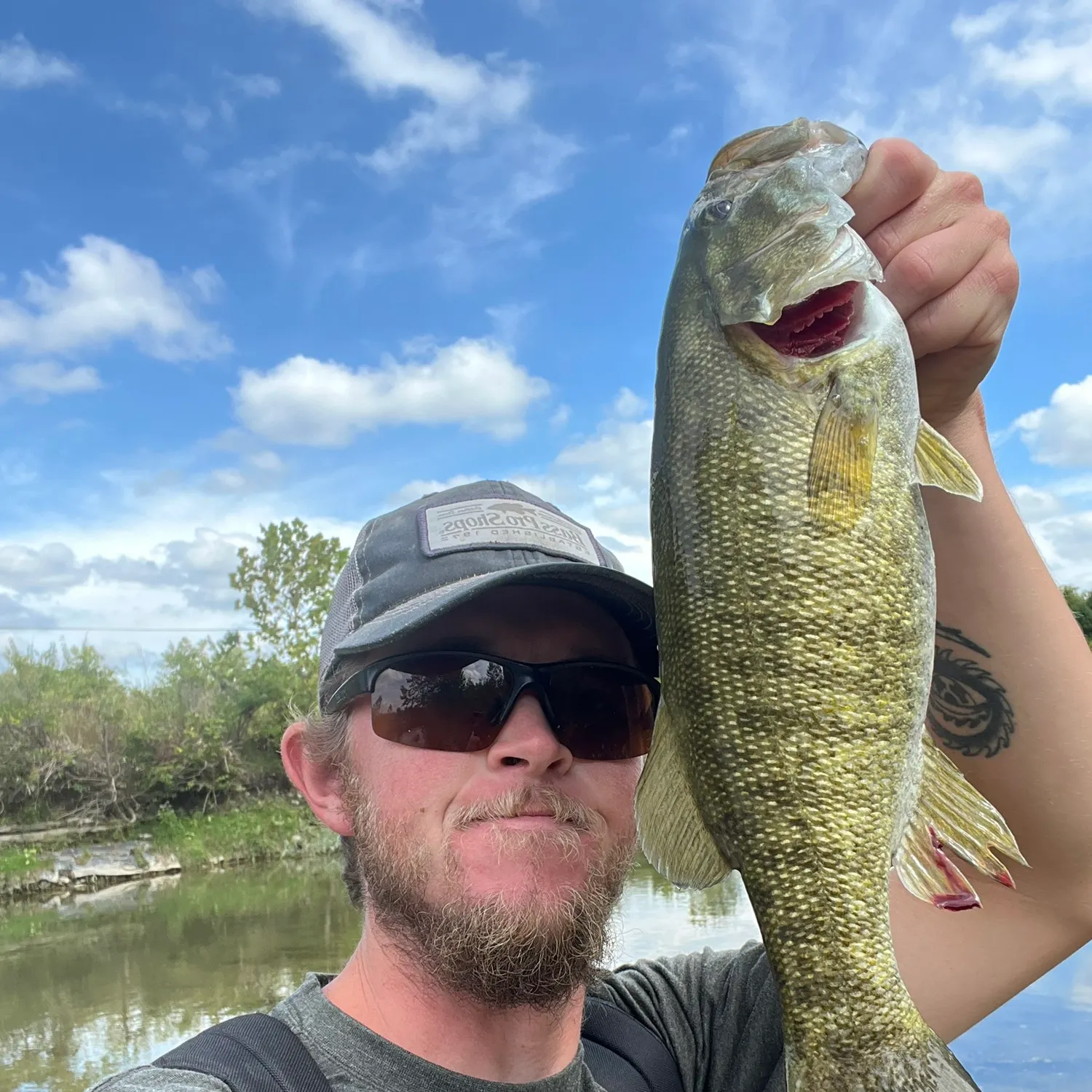 Channel catfish caught on Fishbrain
