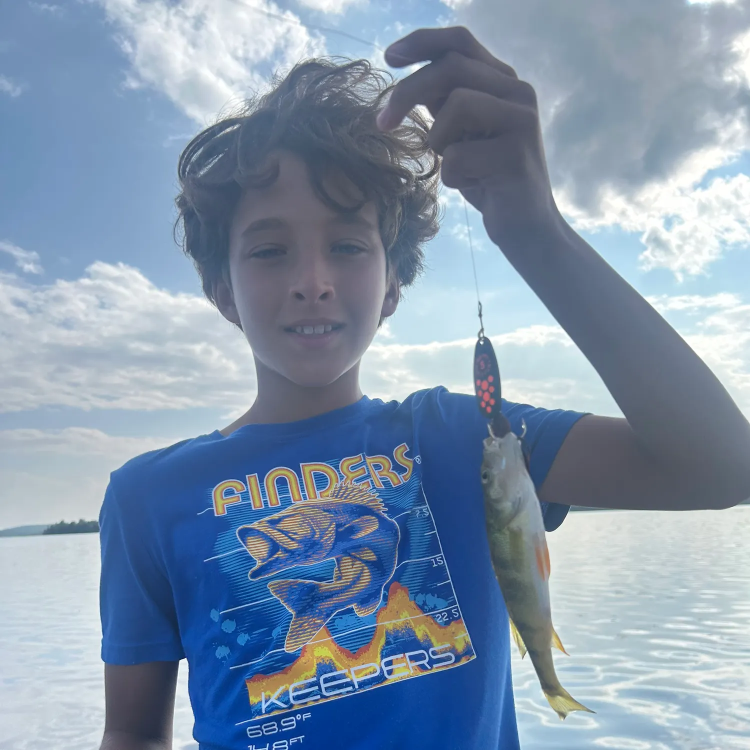Yellow perch caught on Fishbrain