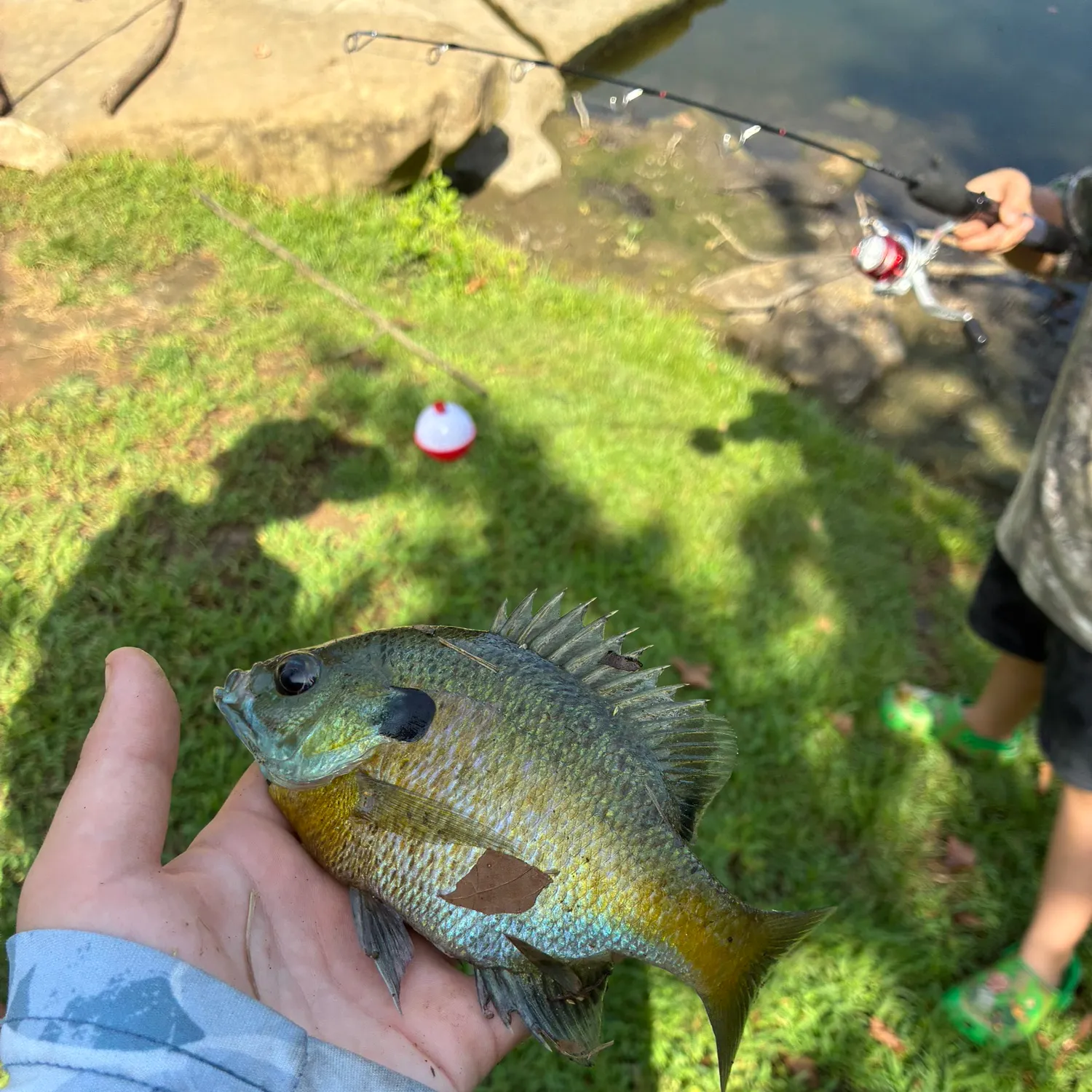 catch