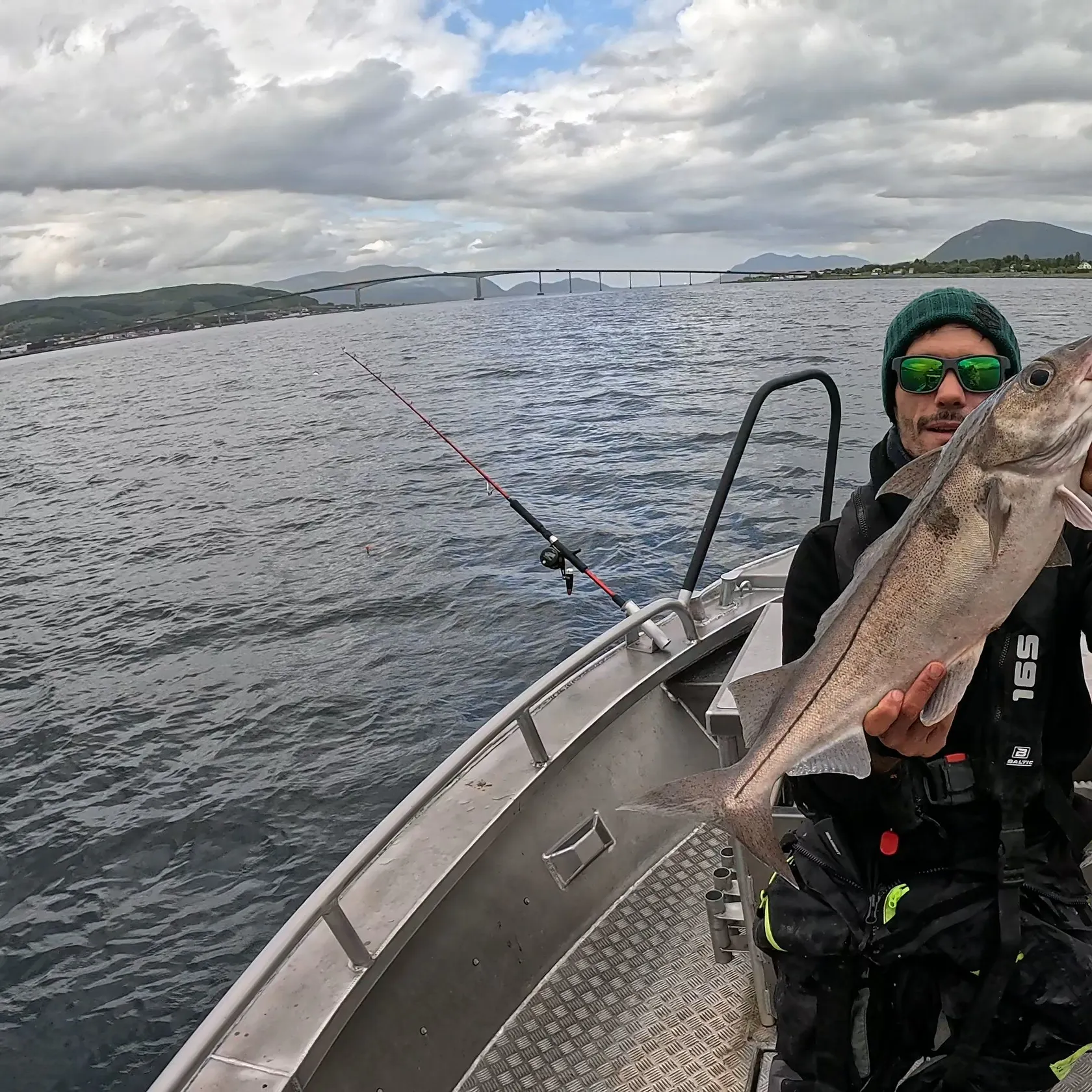 The most recent Haddock catches on Fishbrain