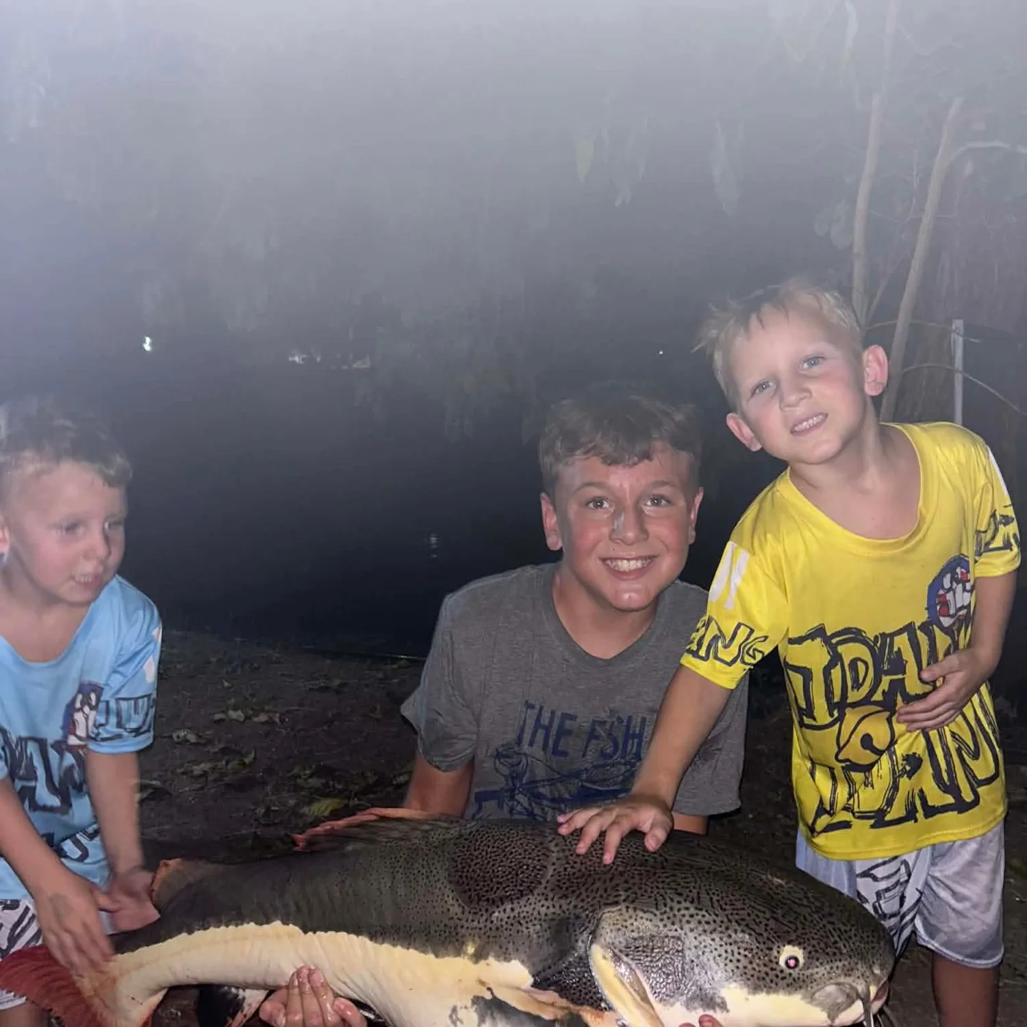 The most recent Redtail catfish catches on Fishbrain