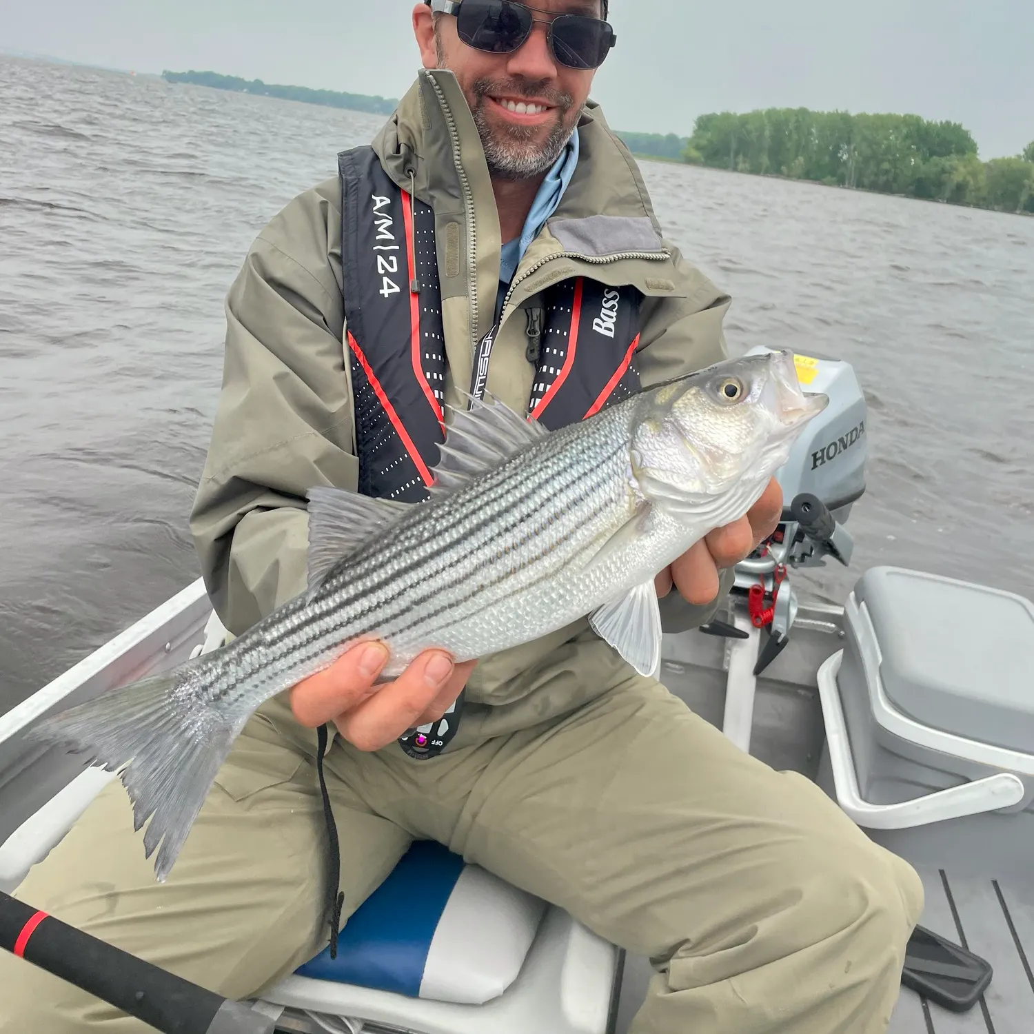 Striped bass caught on Fishbrain