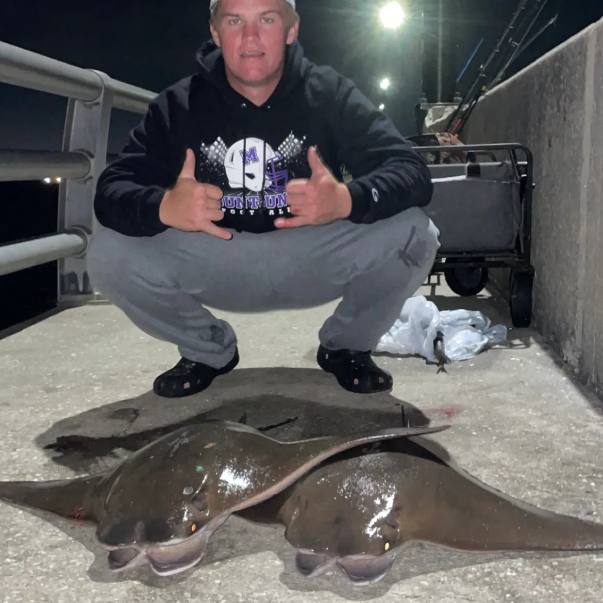 The most recent Cownose Ray catches on Fishbrain
