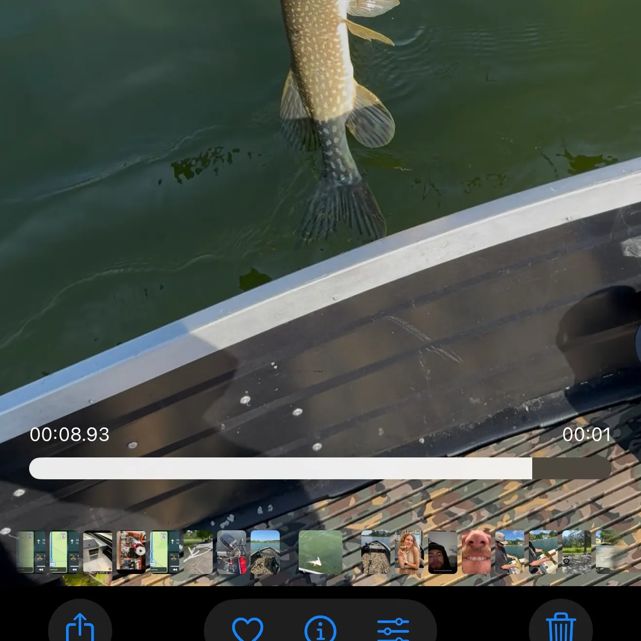recently logged catches