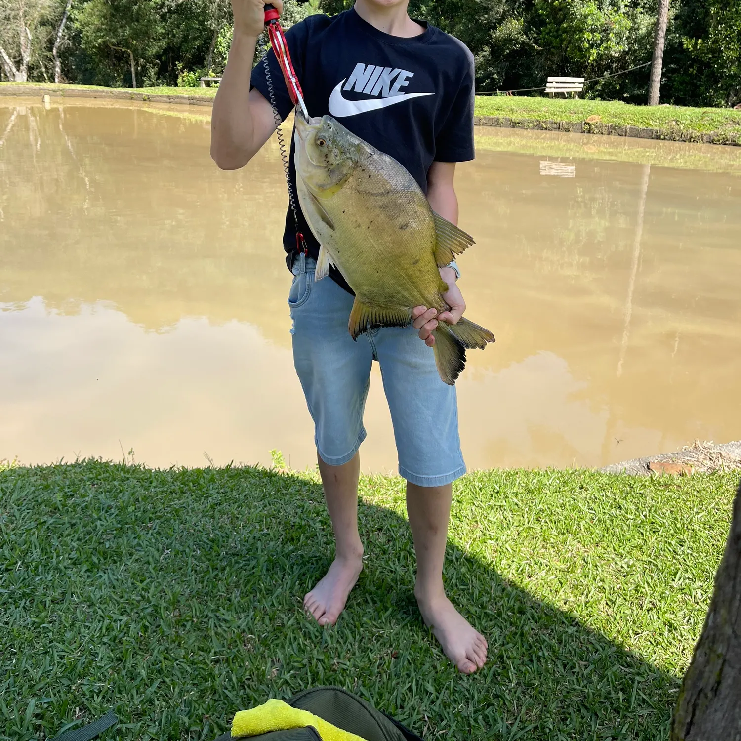 most liked catch image