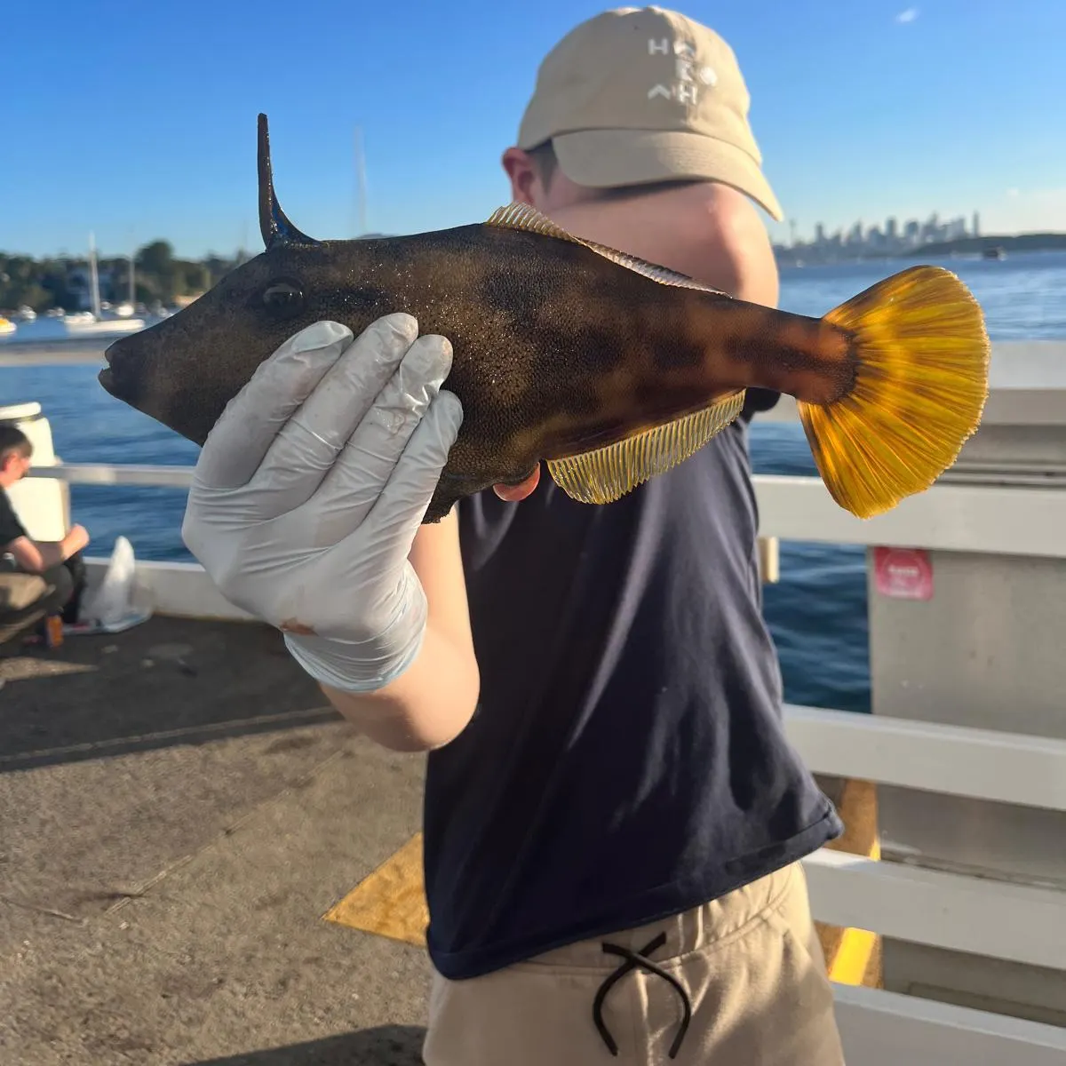 The most recent Large-scaled leatherjacket catches on Fishbrain