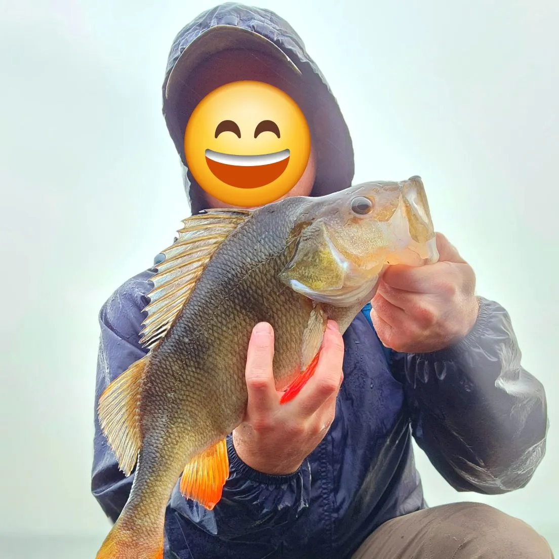 The most recent European perch catches on Fishbrain