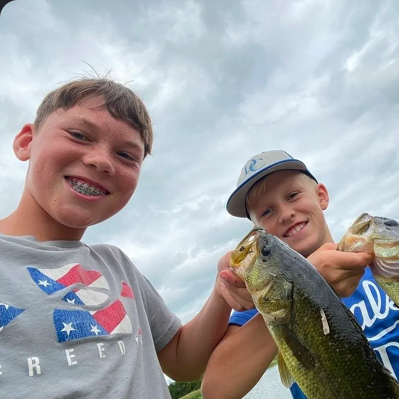 The most recent Largemouth bass catches on Fishbrain