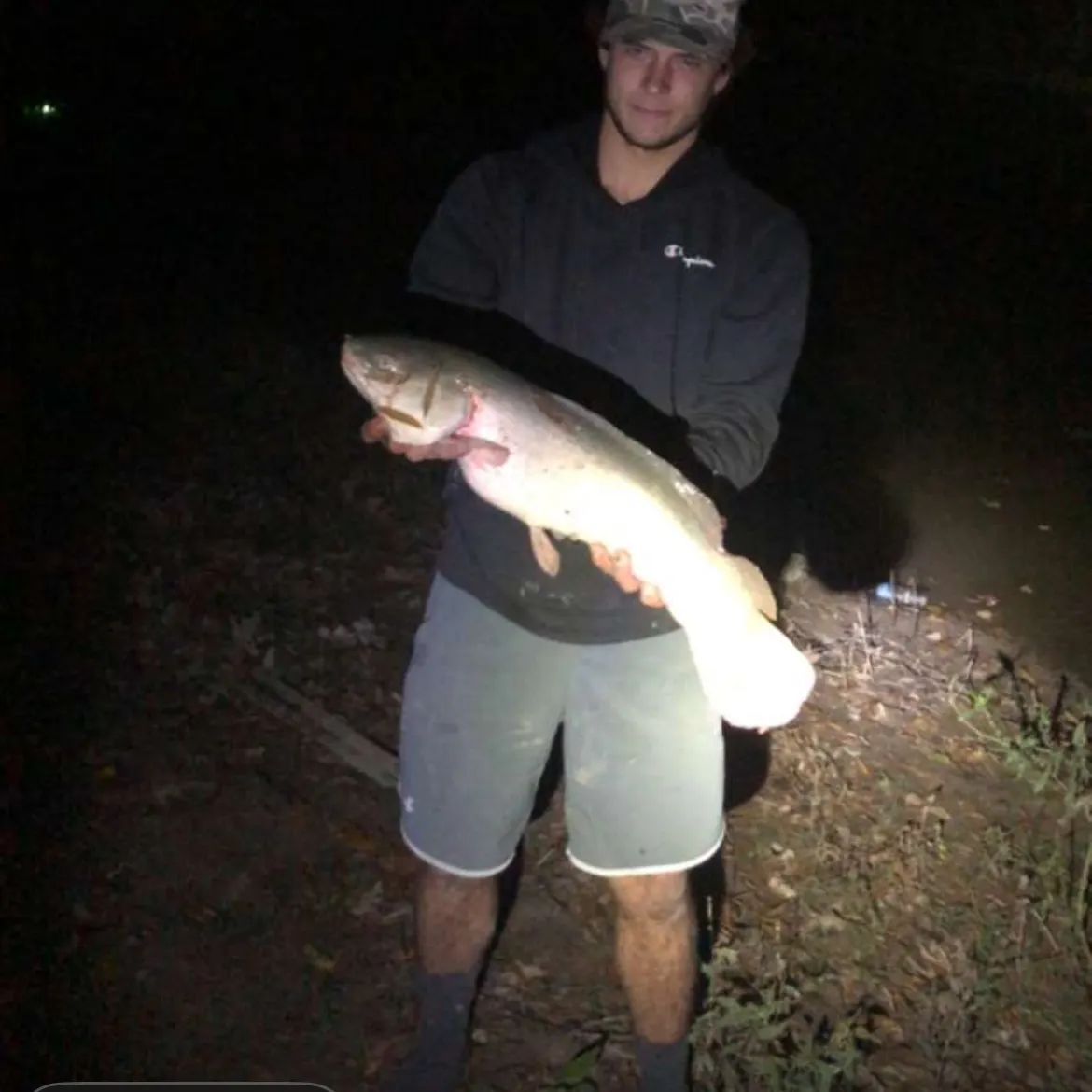 The most recent Ruddy bowfin catches on Fishbrain