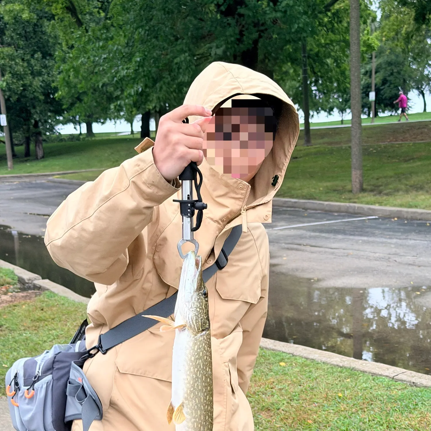 Northern pike caught on Fishbrain