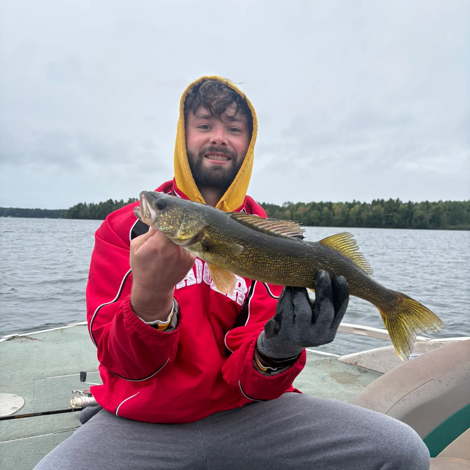 Walleye caught on Fishbrain