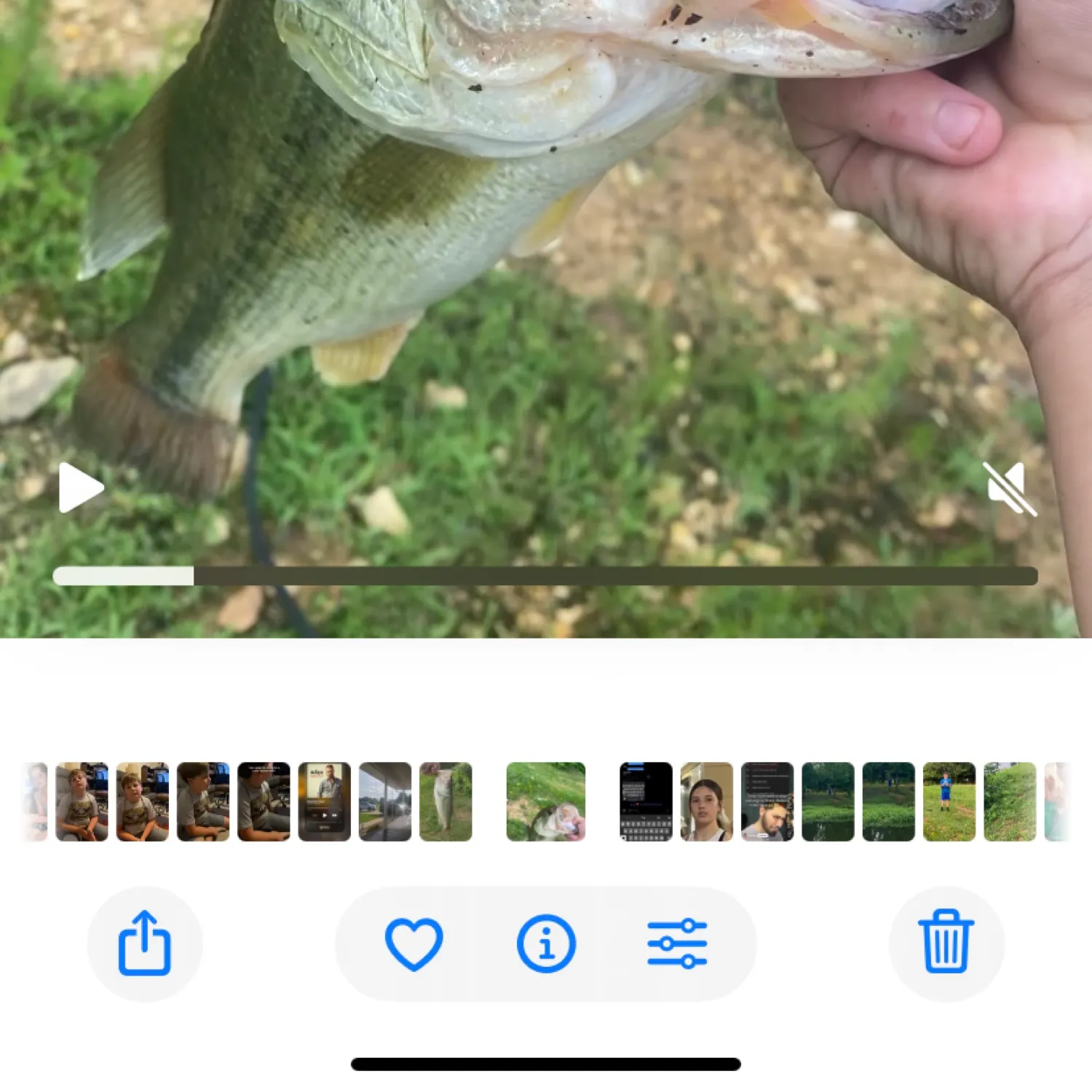 recently logged catches
