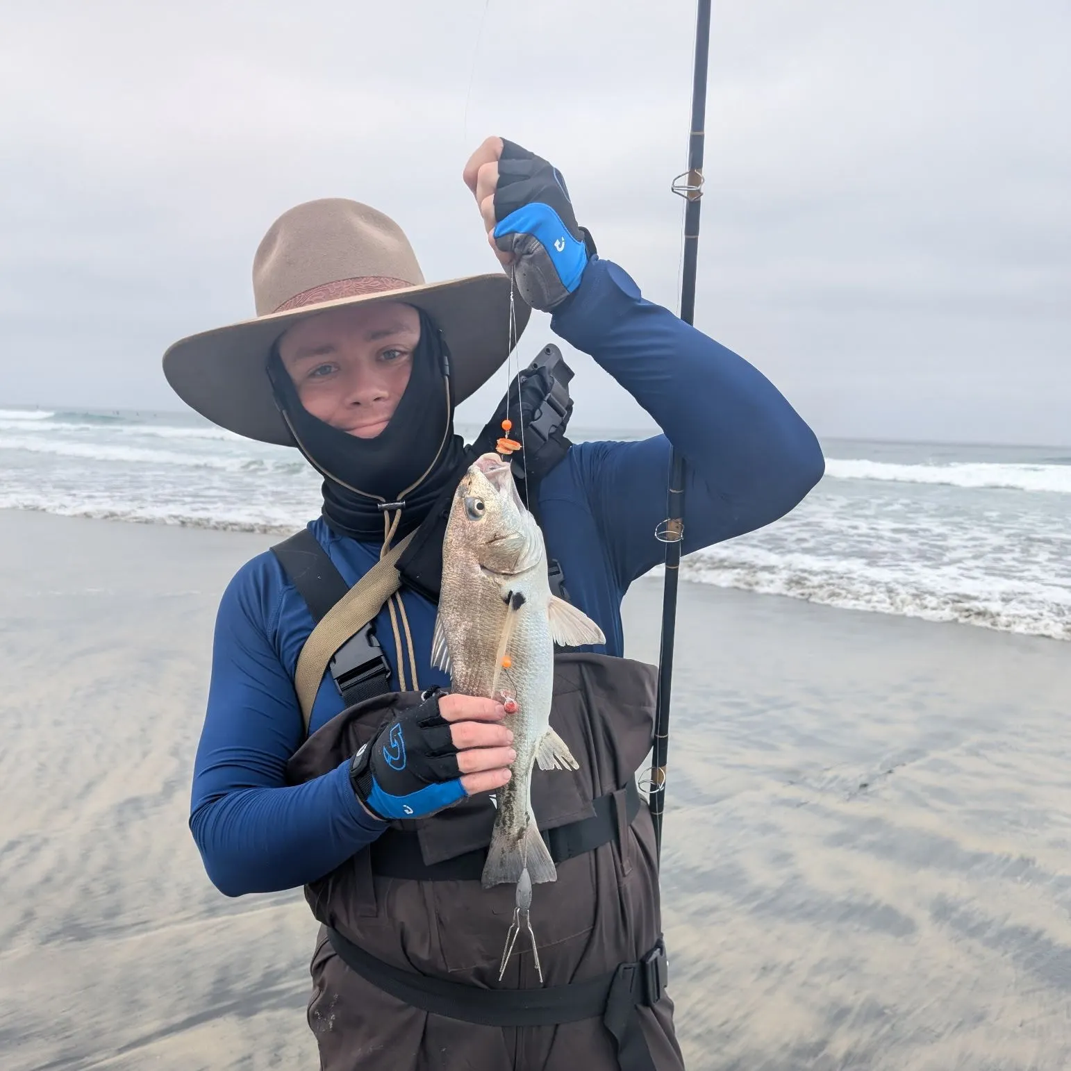 Spotfin croaker caught on Fishbrain