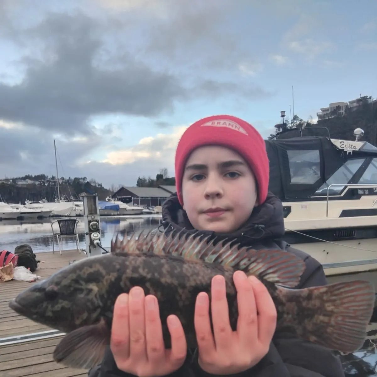 The most recent Ballan wrasse catches on Fishbrain