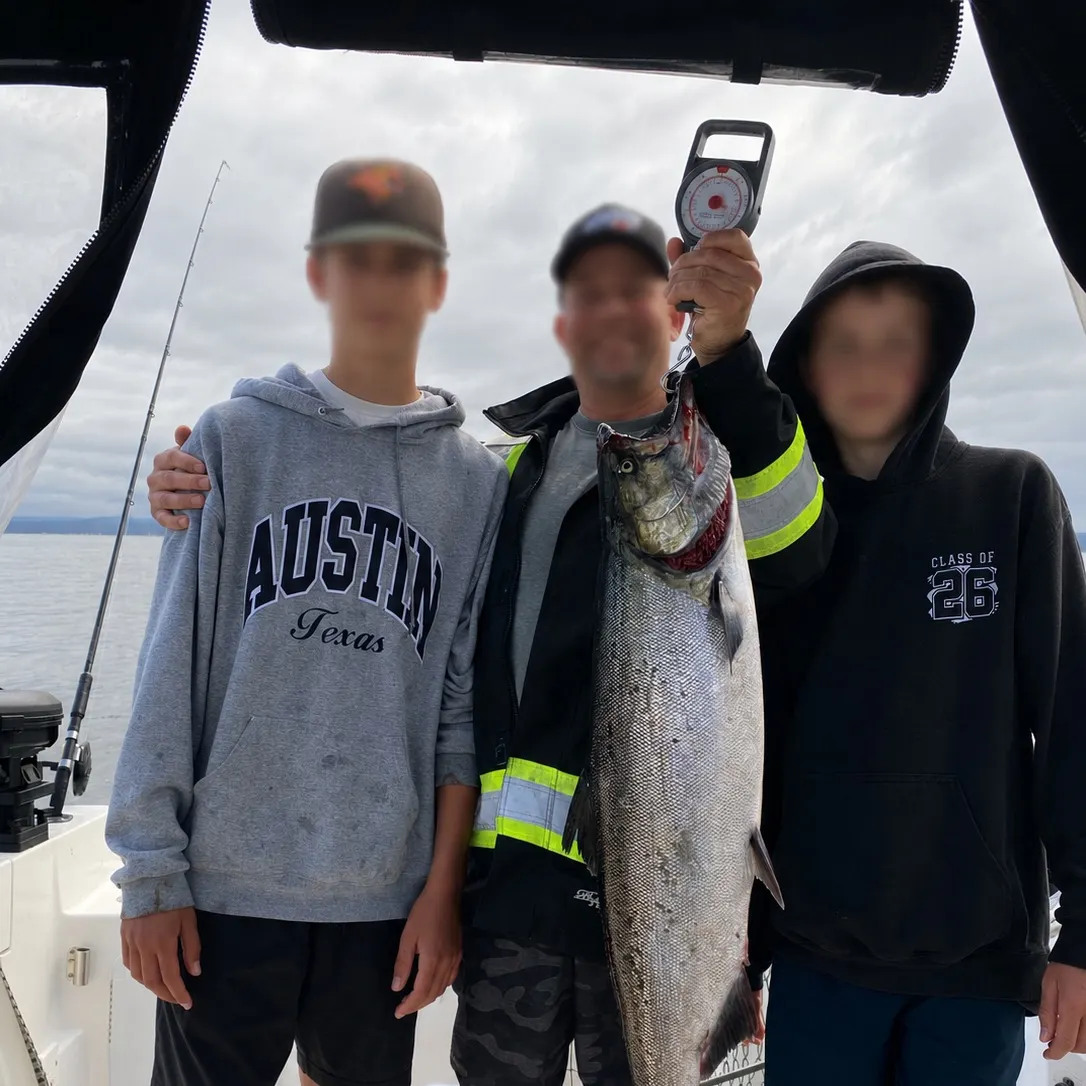 Chinook salmon caught on Fishbrain