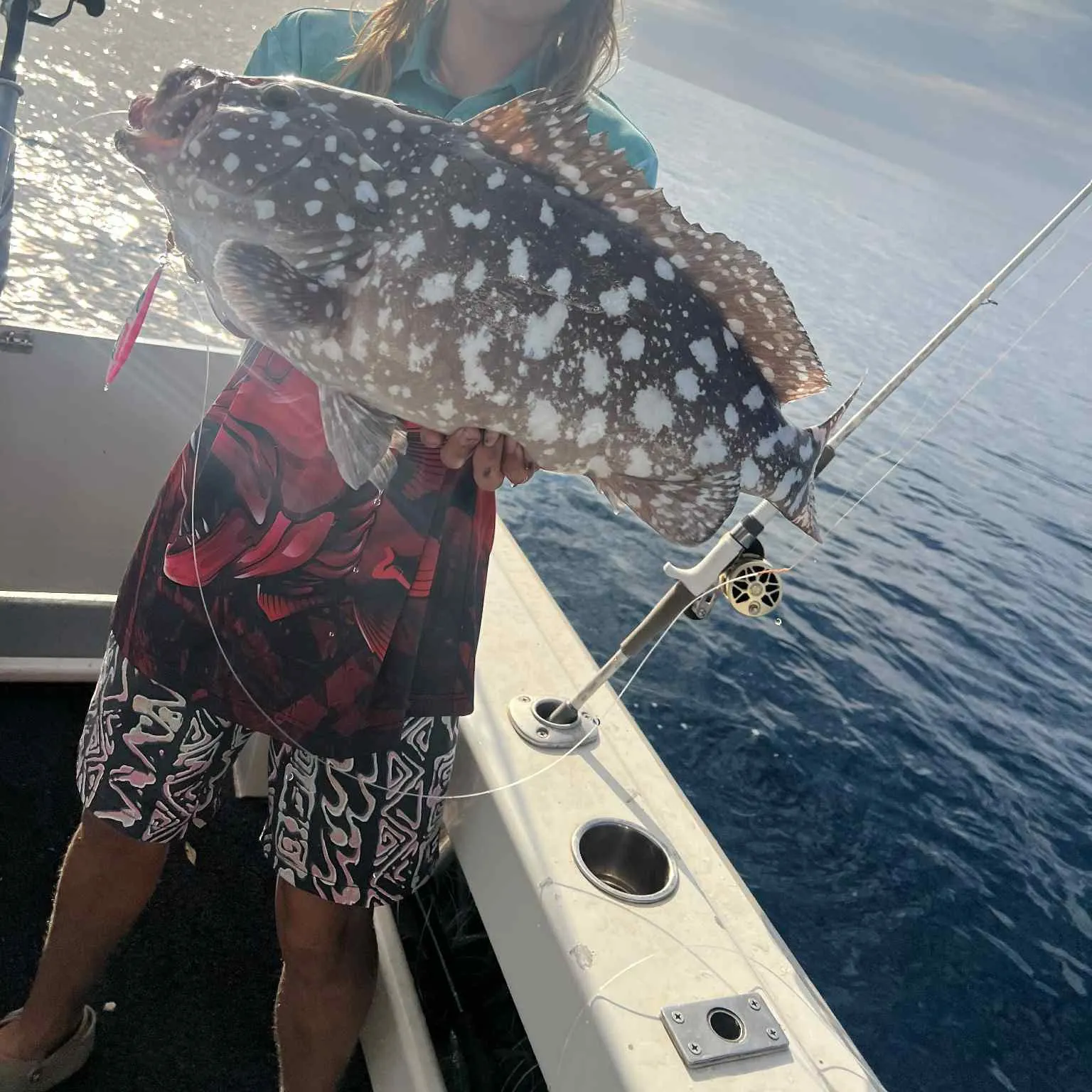 The most recent White-blotched grouper catches on Fishbrain