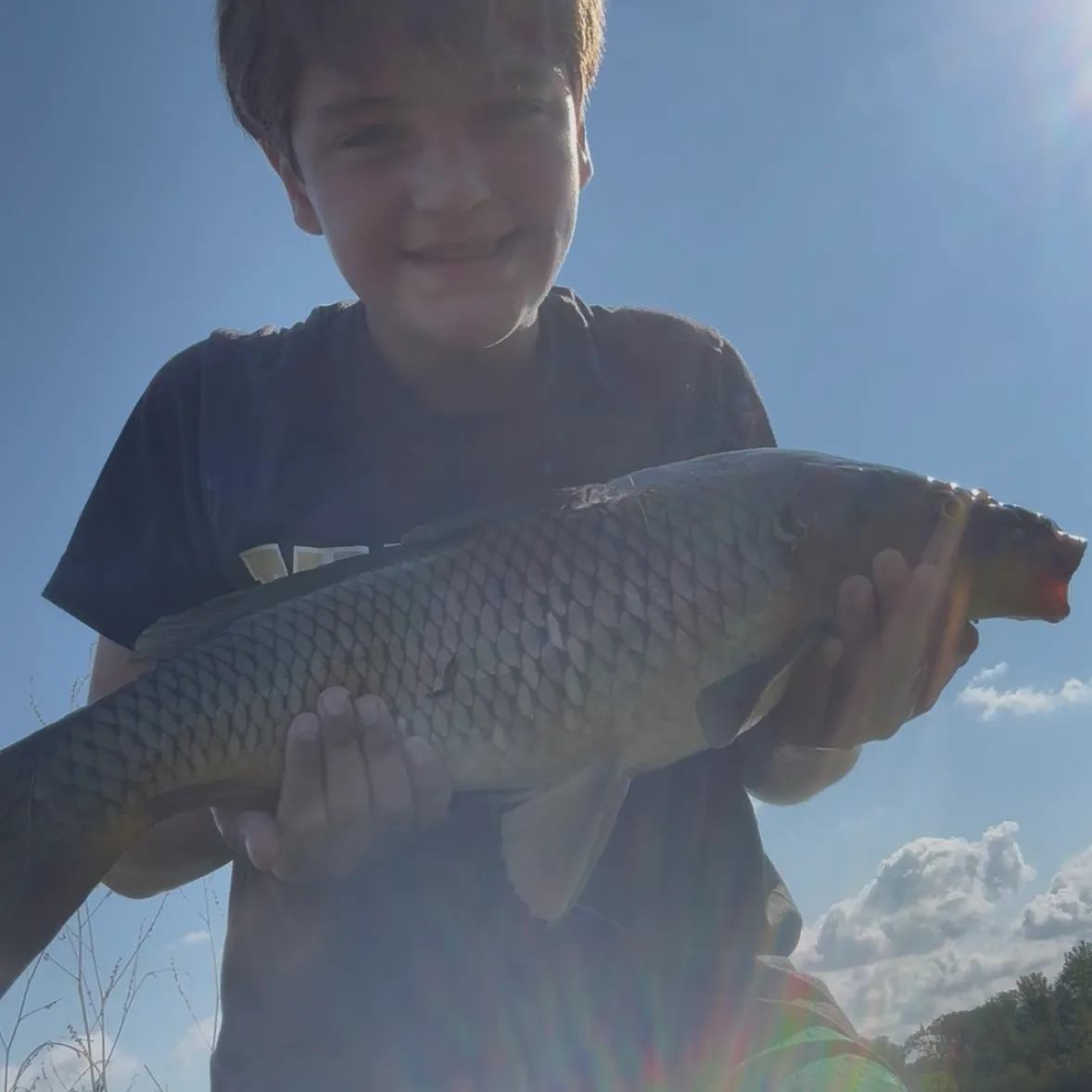 Common carp caught on Fishbrain