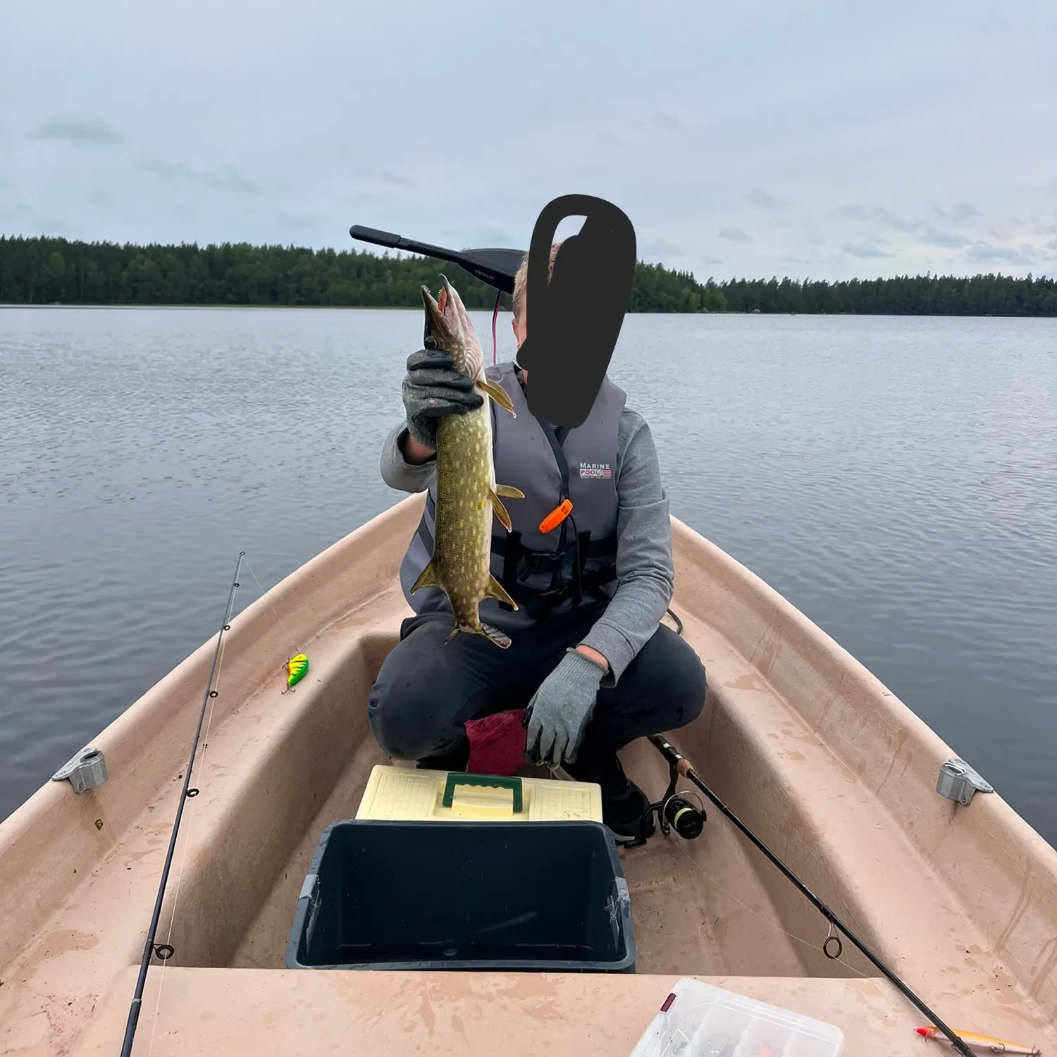 Northern pike caught on Fishbrain