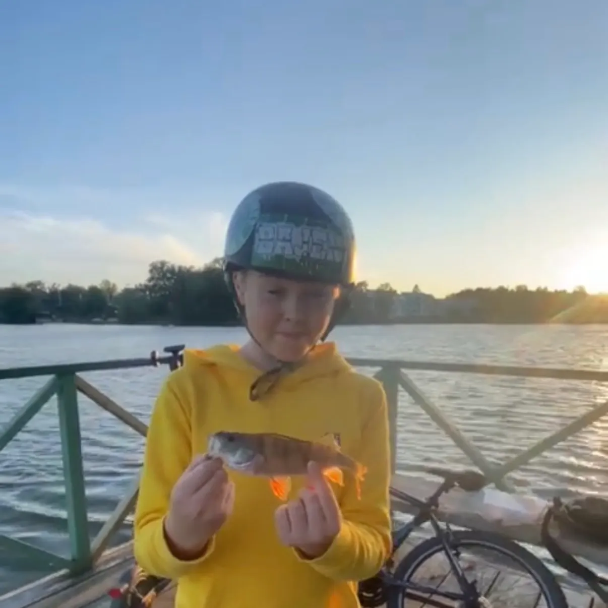 European perch caught on Fishbrain