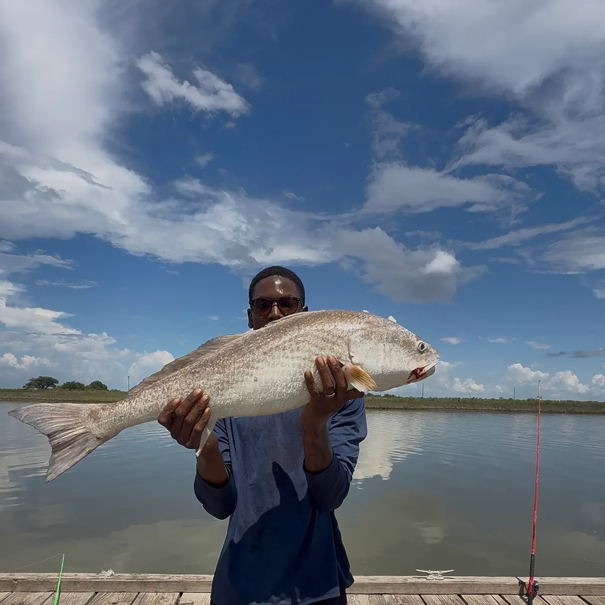 Red drum caught on Fishbrain