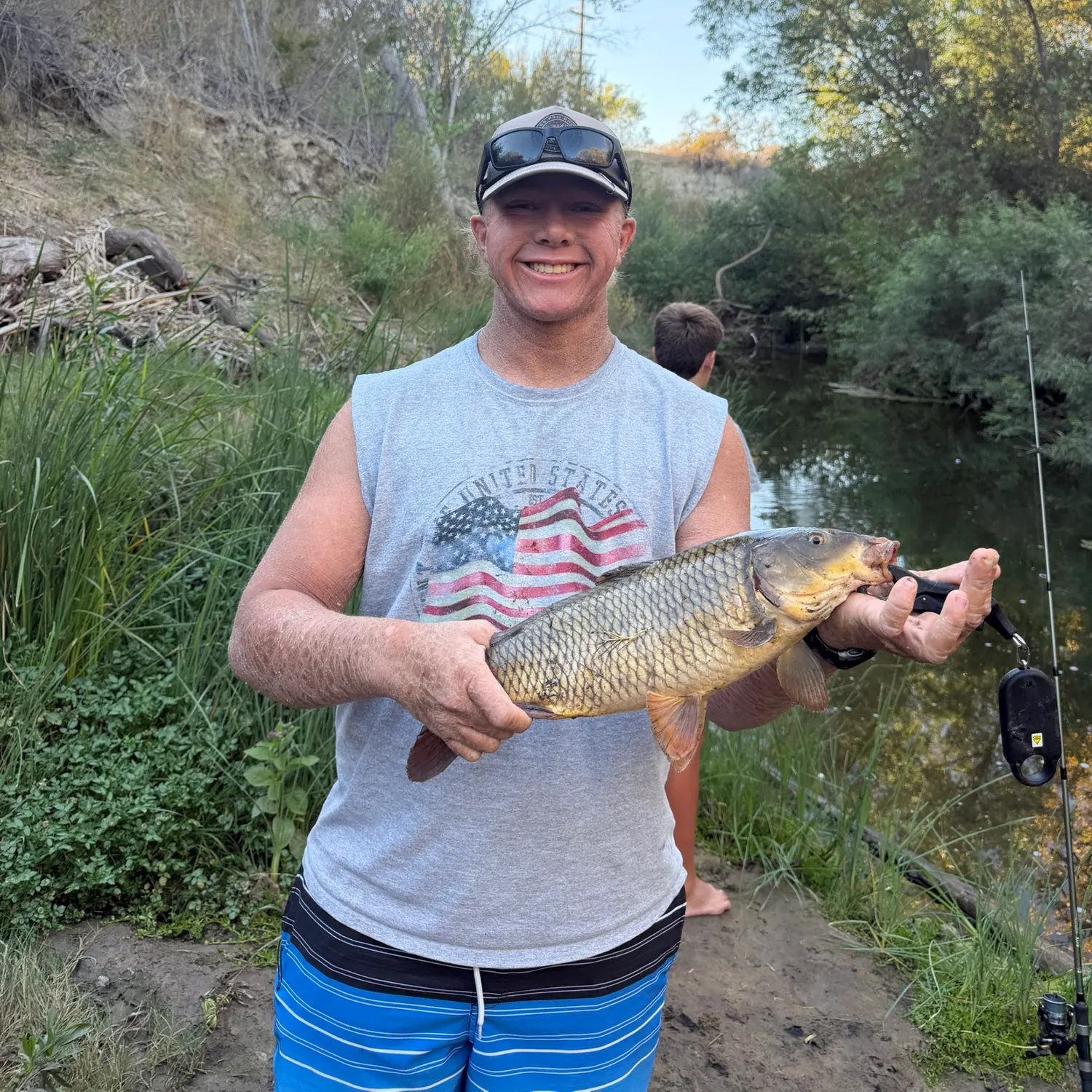 Common carp caught on Fishbrain