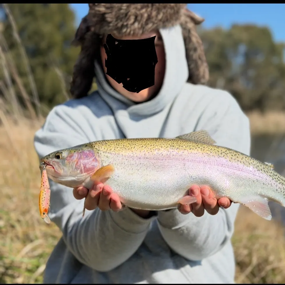 Rainbow trout caught on Fishbrain