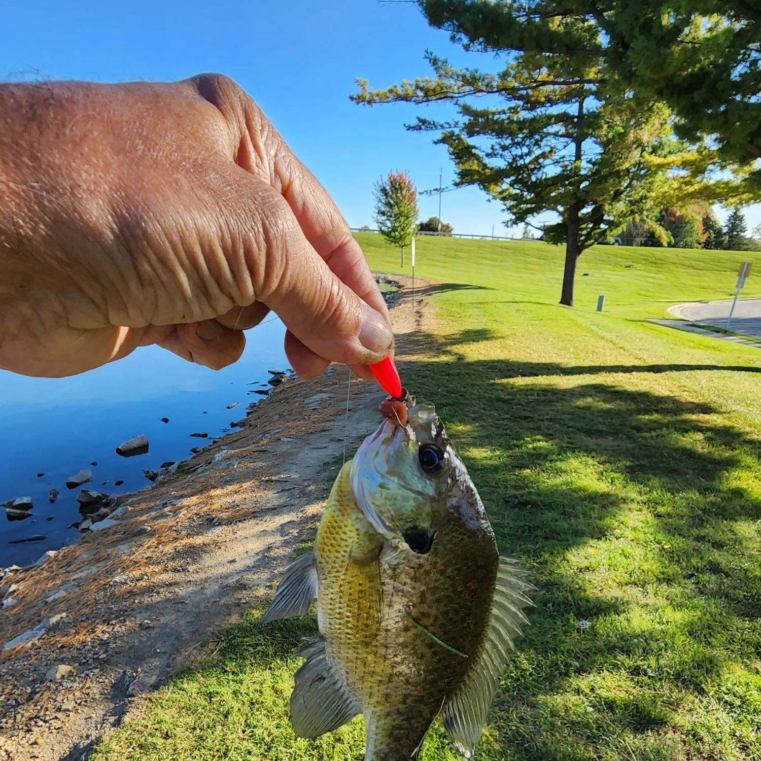 catch