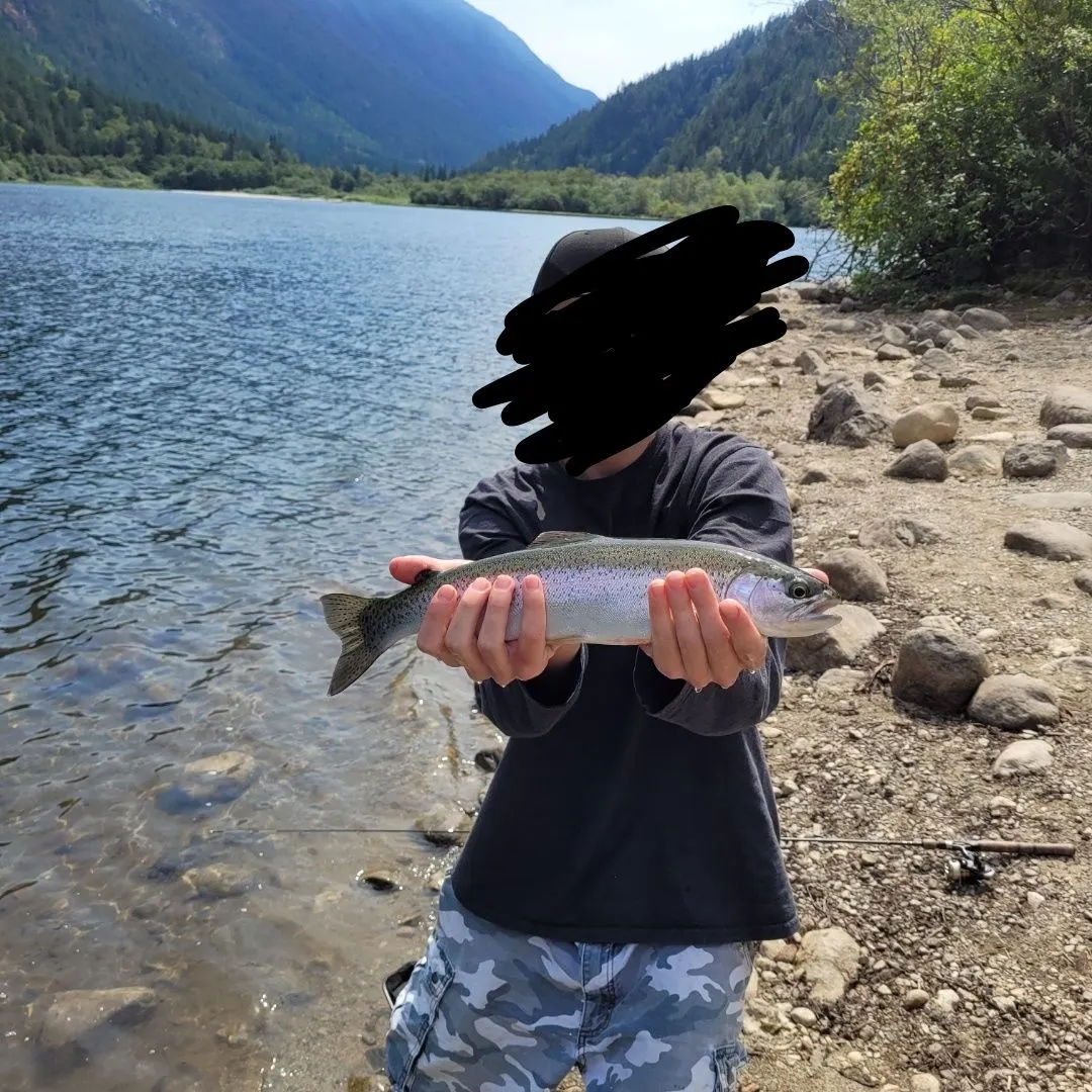 The most recent Coastal rainbow trout catches on Fishbrain