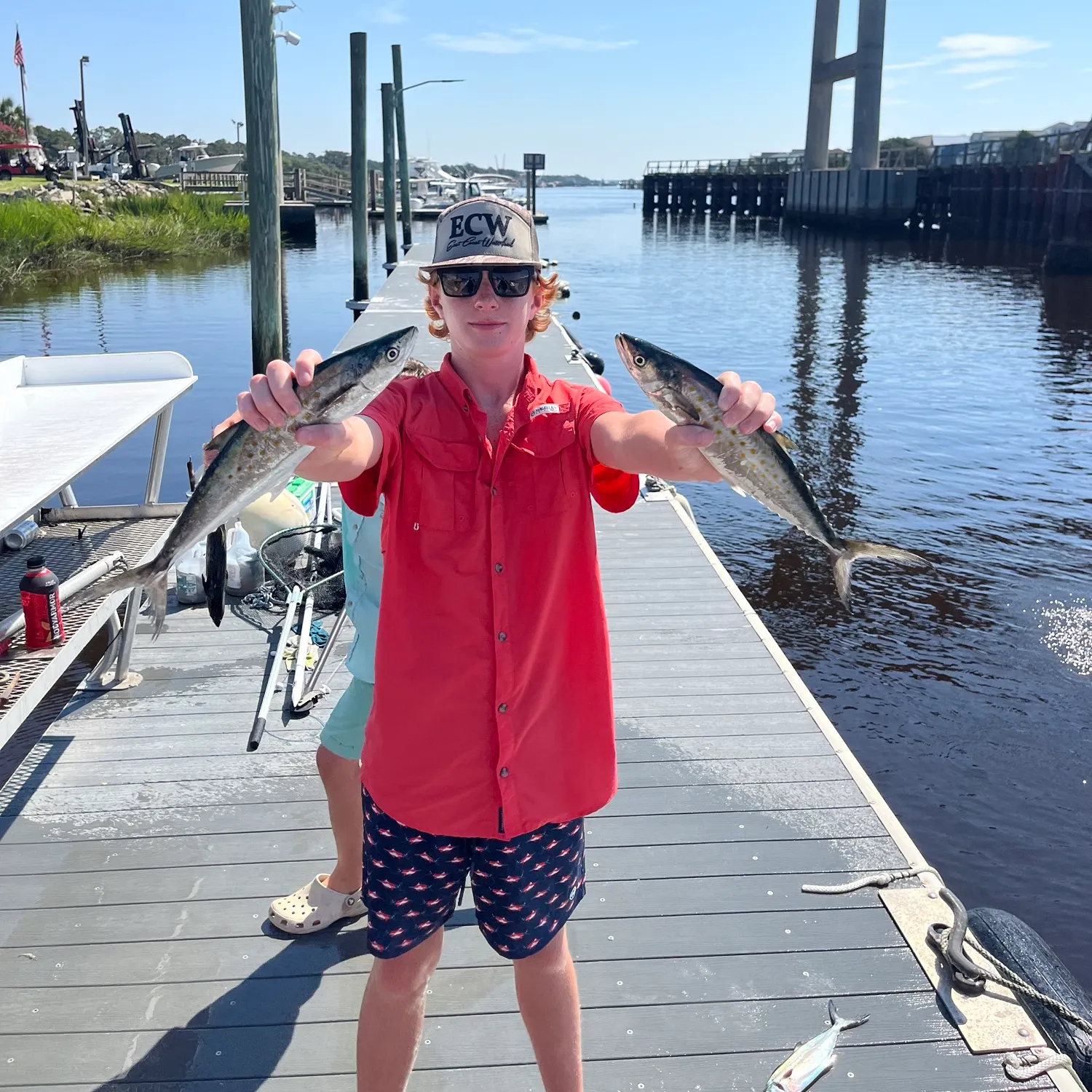 The most recent Spanish mackerel catches on Fishbrain