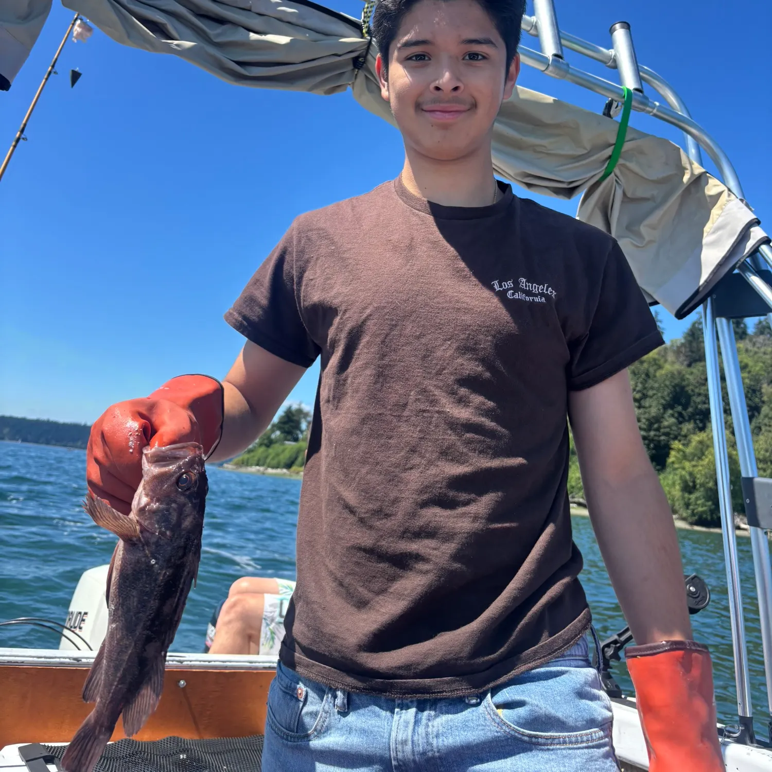 The most recent Redstripe rockfish catches on Fishbrain