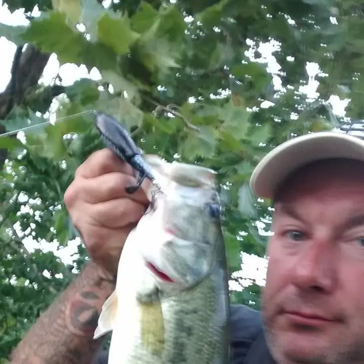 Fish caught on Fishbrain