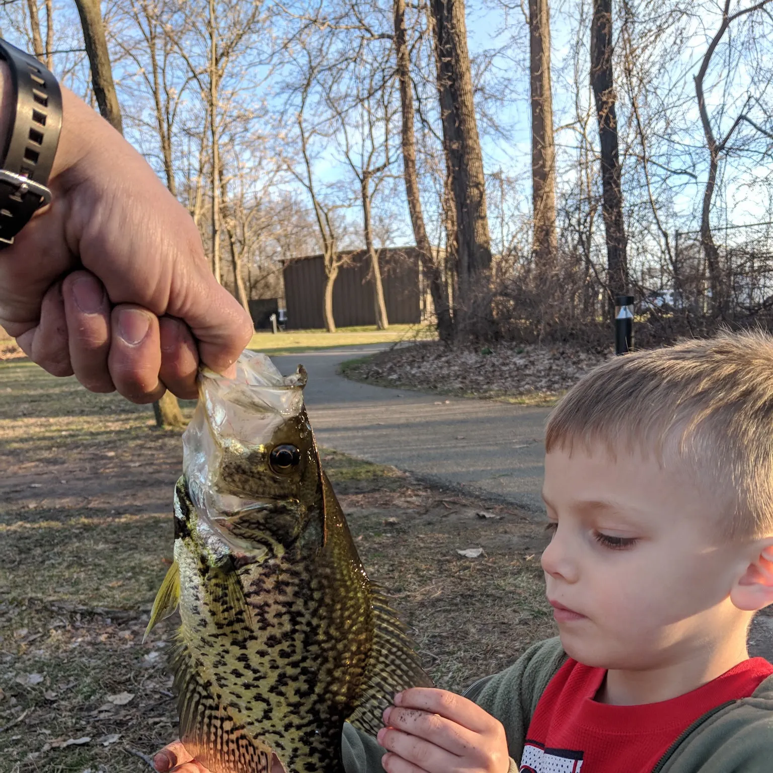 catch