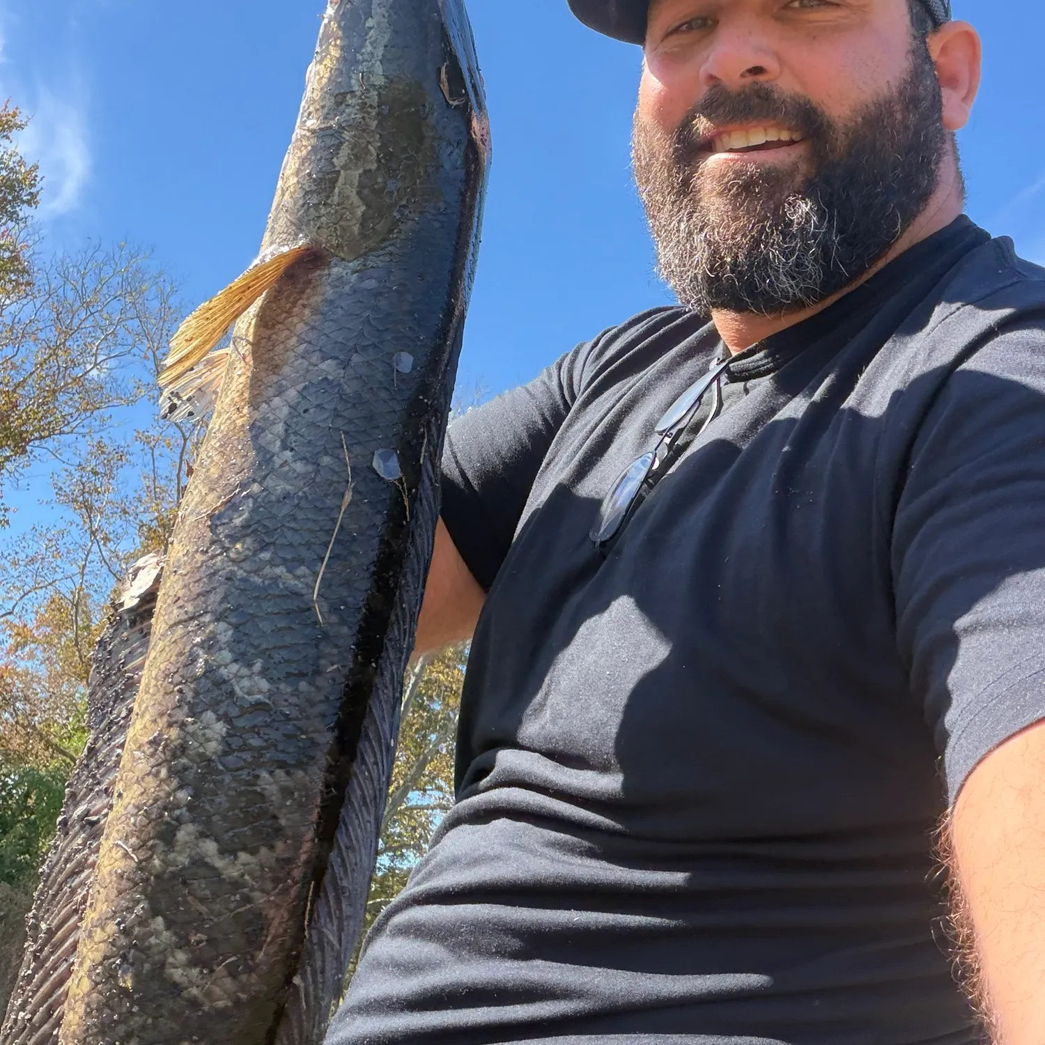 Northern snakehead caught on Fishbrain