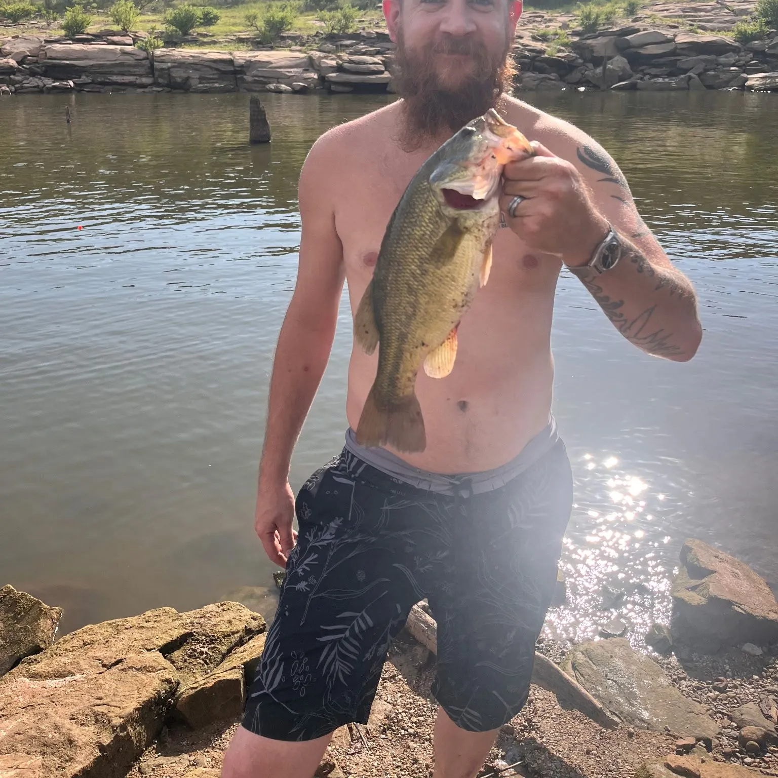 Largemouth bass caught on Fishbrain
