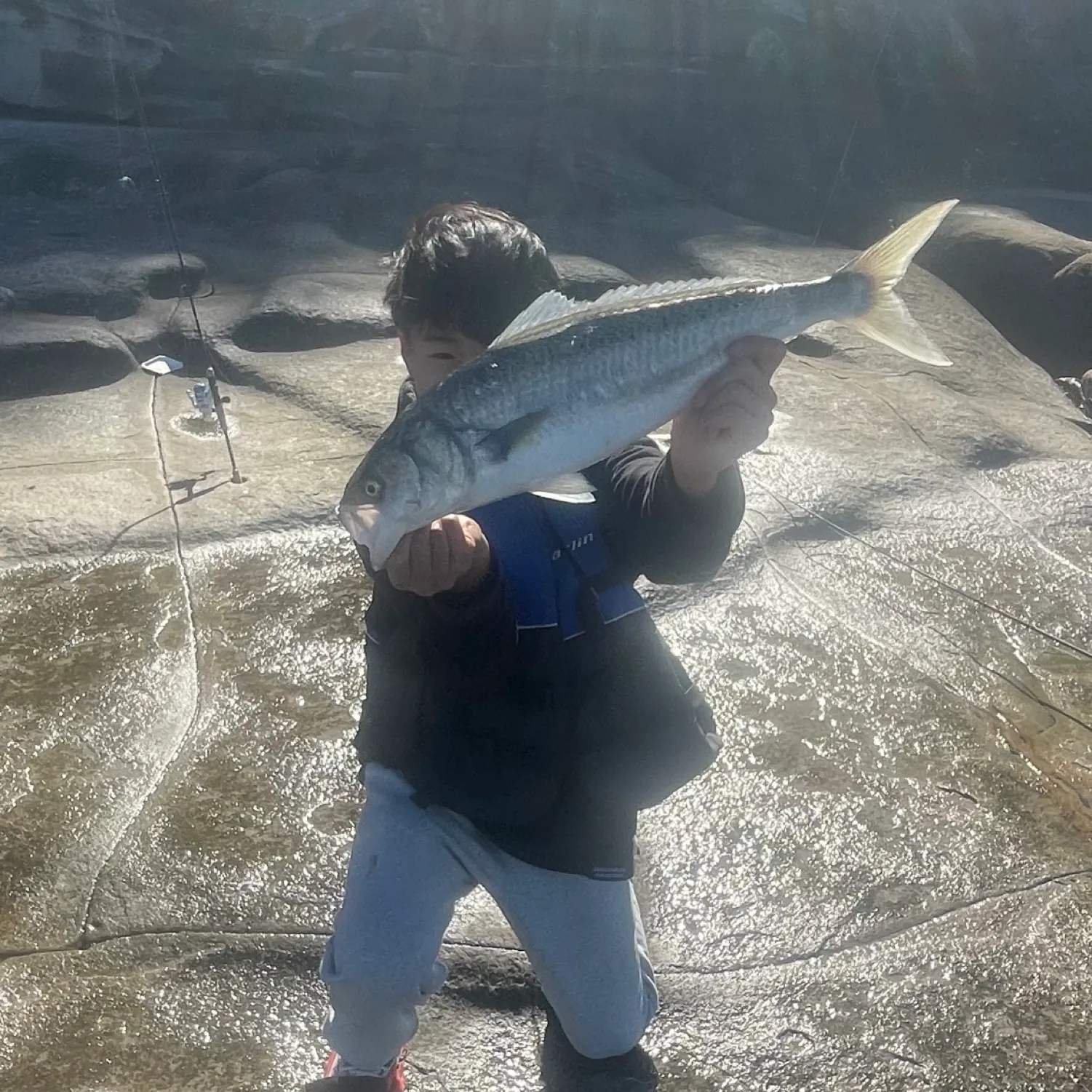 The most recent Australian salmon catches on Fishbrain
